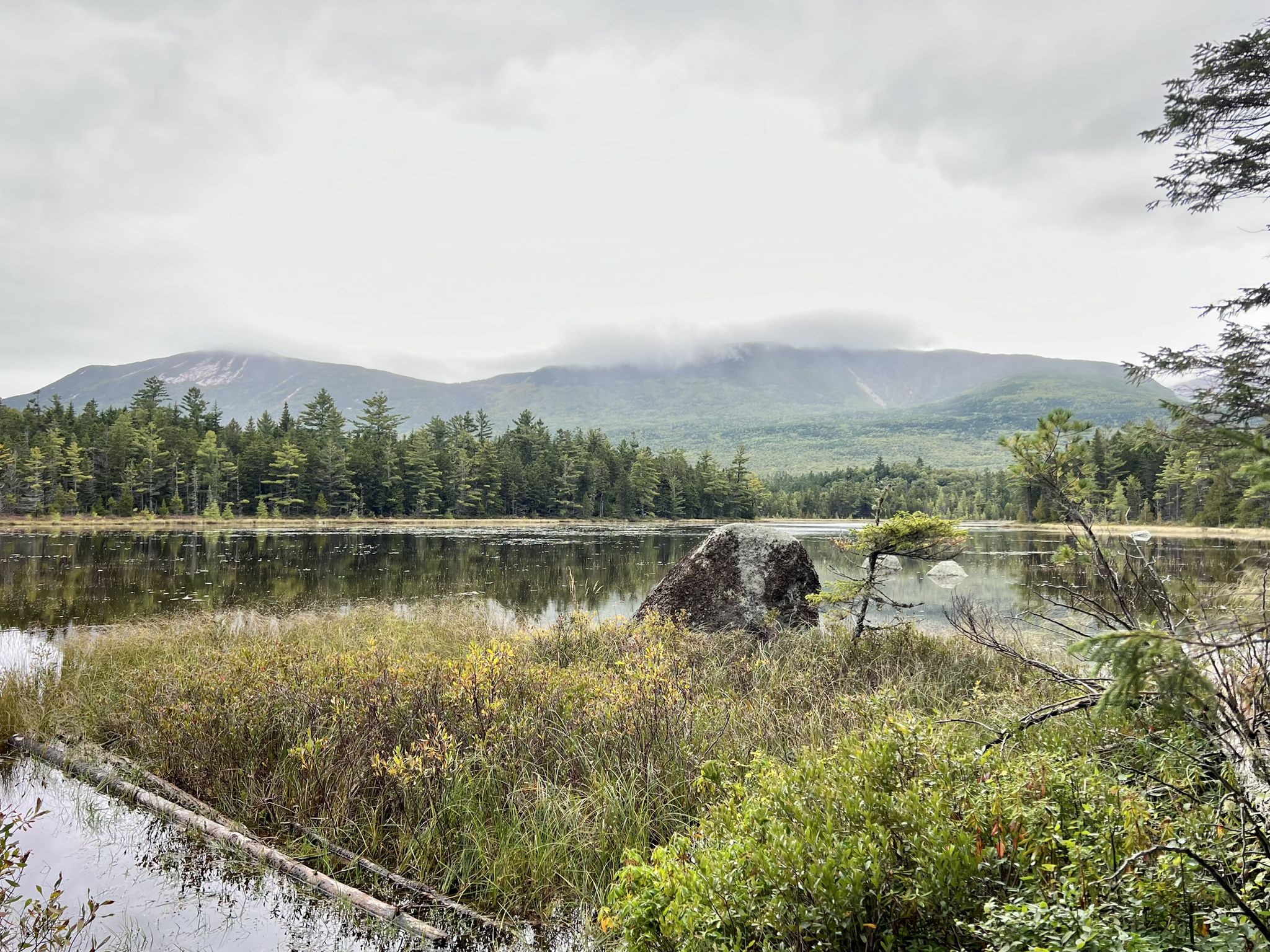 A tranquil lake with mountains in the distance under an overcast sky. - Daicey Pond and Elbow Pond Loop
