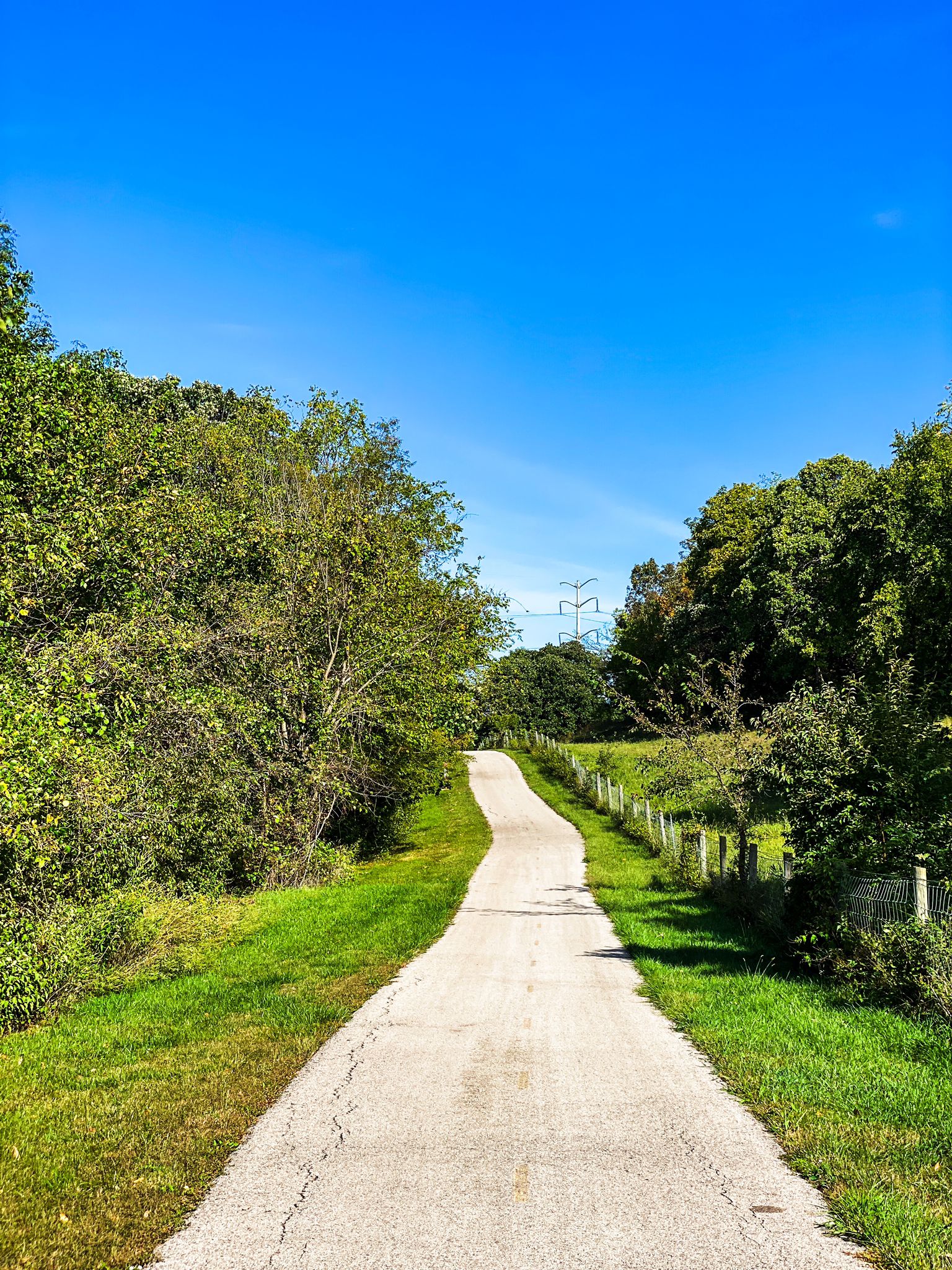 A straight paved path leads through green trees under a clear blue sky. - Mize Lake loop from North Lone Elm School