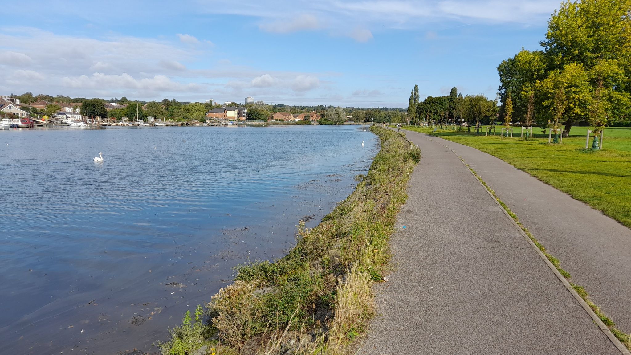 Bitterne Park