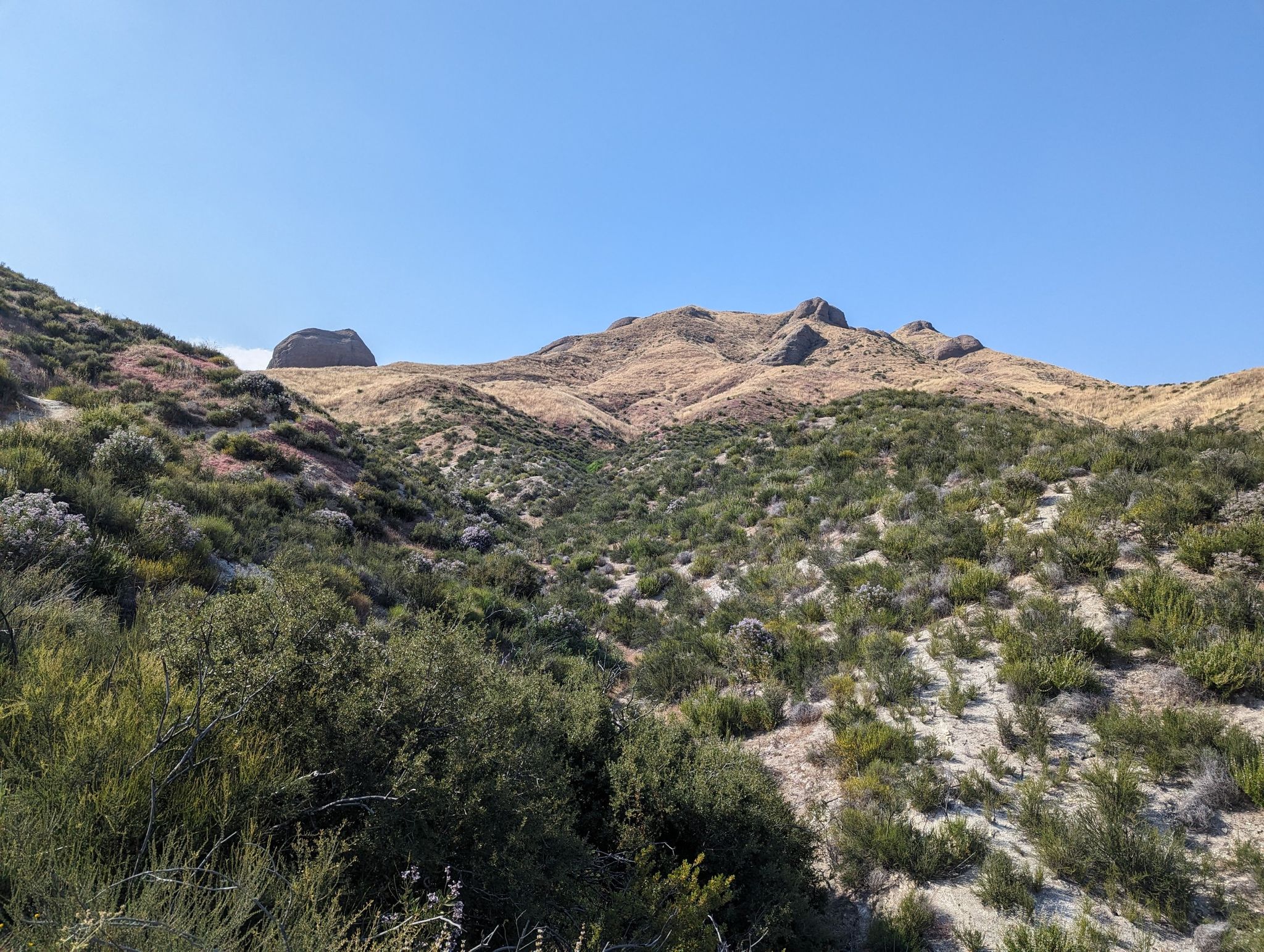 Arid hills covered in green and brown brush under a clear blue sky. - Pacific Crest Trail: Soledad Canyon to Indian Canyon