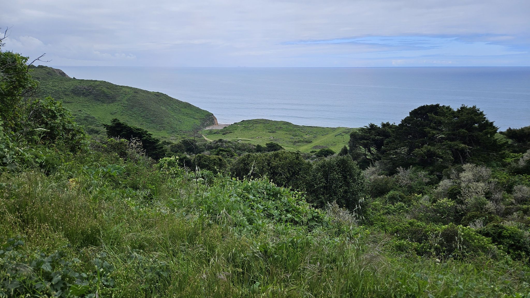 Lush green hills and trees overlooking a calm ocean under a cloudy sky. - Bear Valley Trail to Wildcat Campground