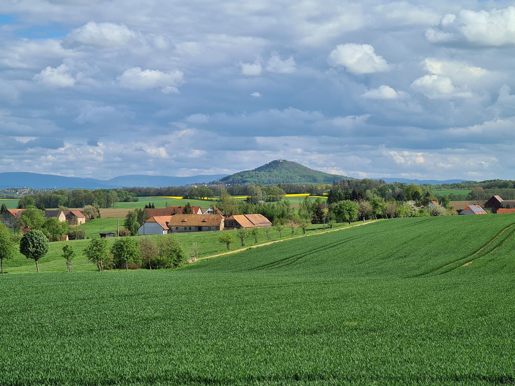Blick zur Landeskrone