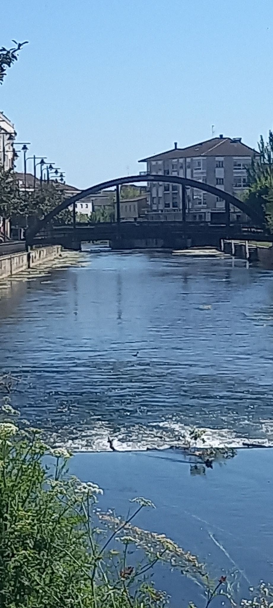 El primer puente