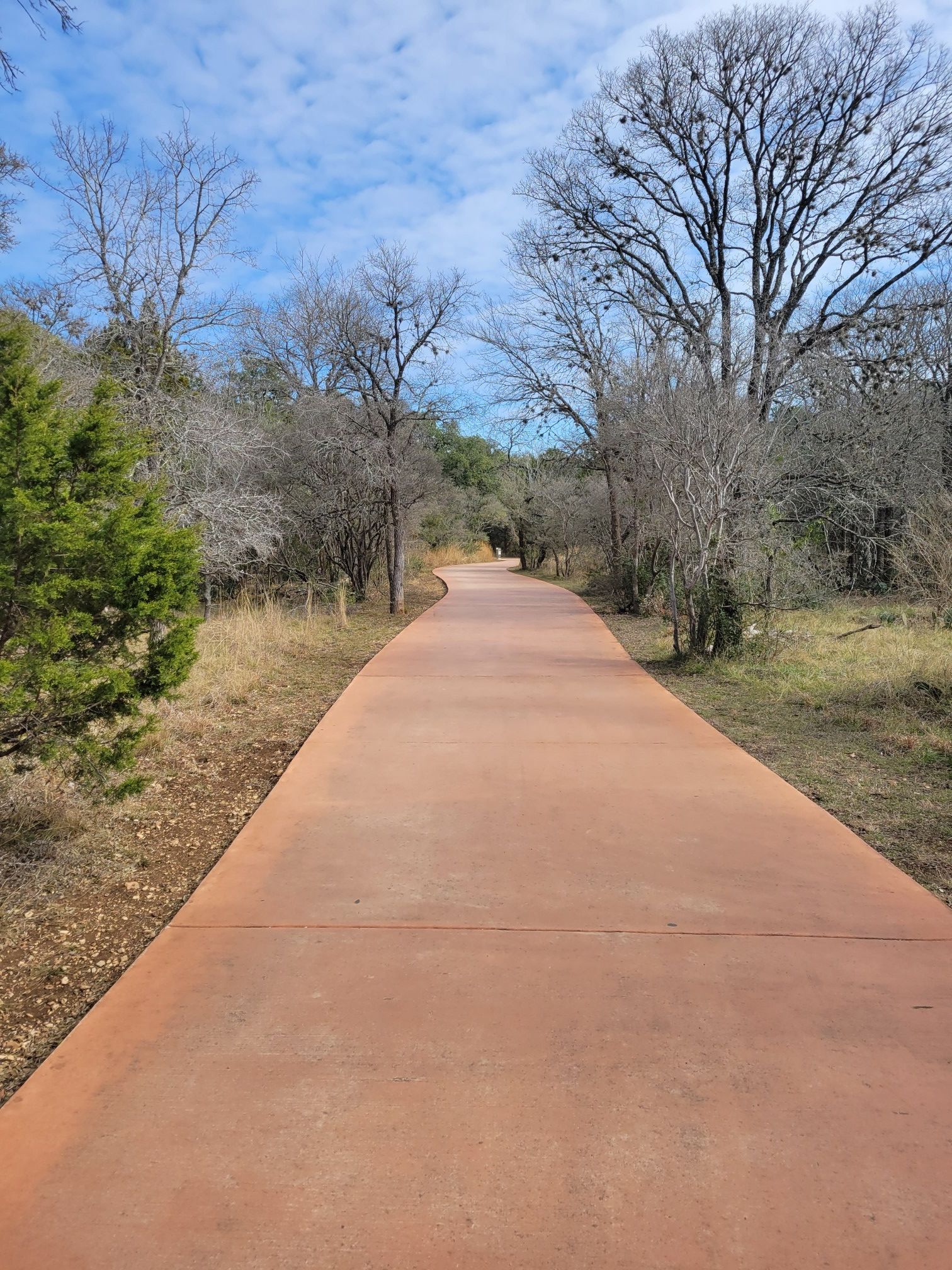 Paved reddish path winds through a sunny, wooded area with bare trees. - Salado Creek Greenway – Salado Creek Greenway loop from Regency Park
