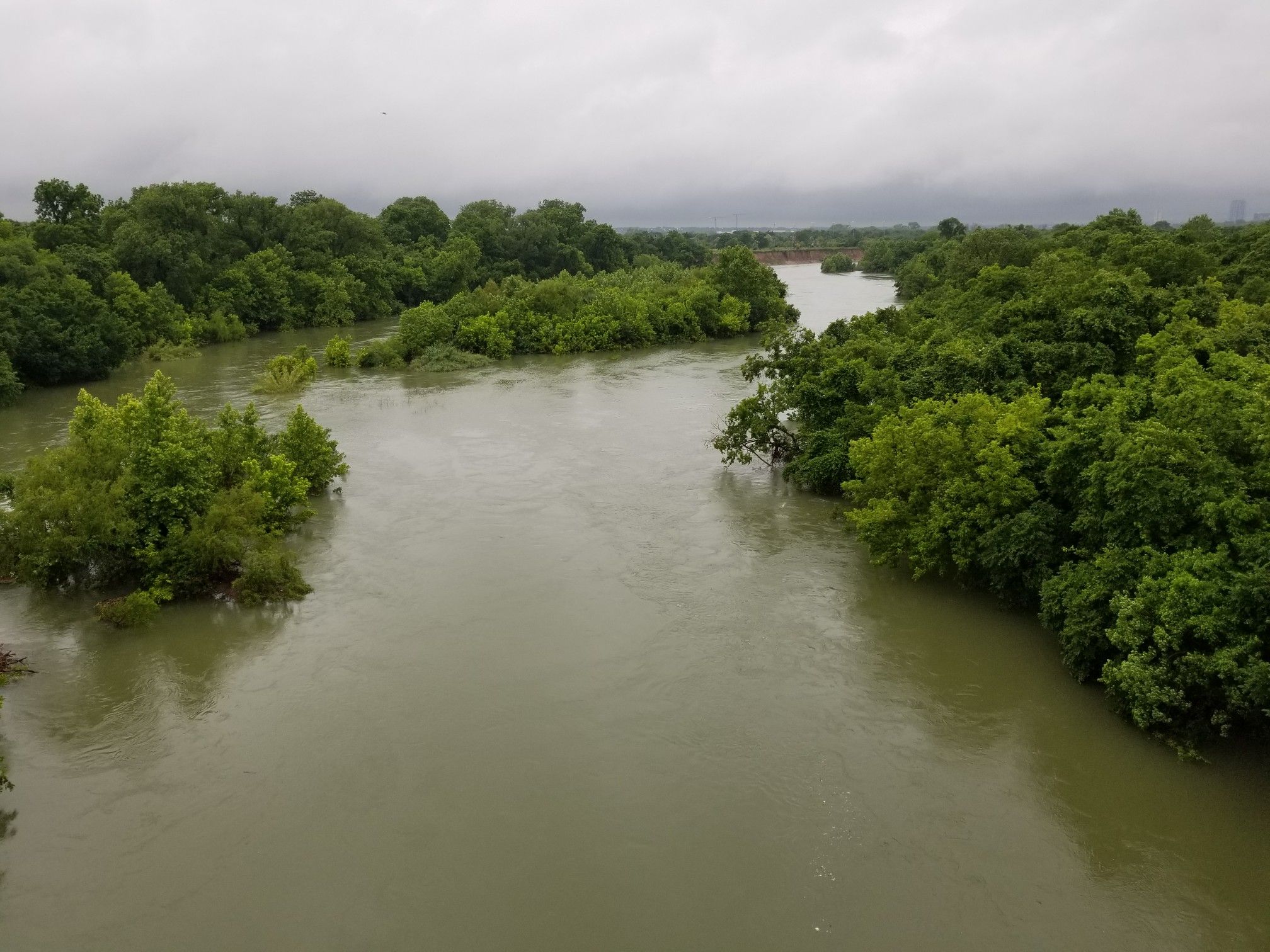 Wide, murky river flowing through dense green trees under a cloudy sky. - Southern Walnut Creek Trail loop from Floodplains and Low Terraces