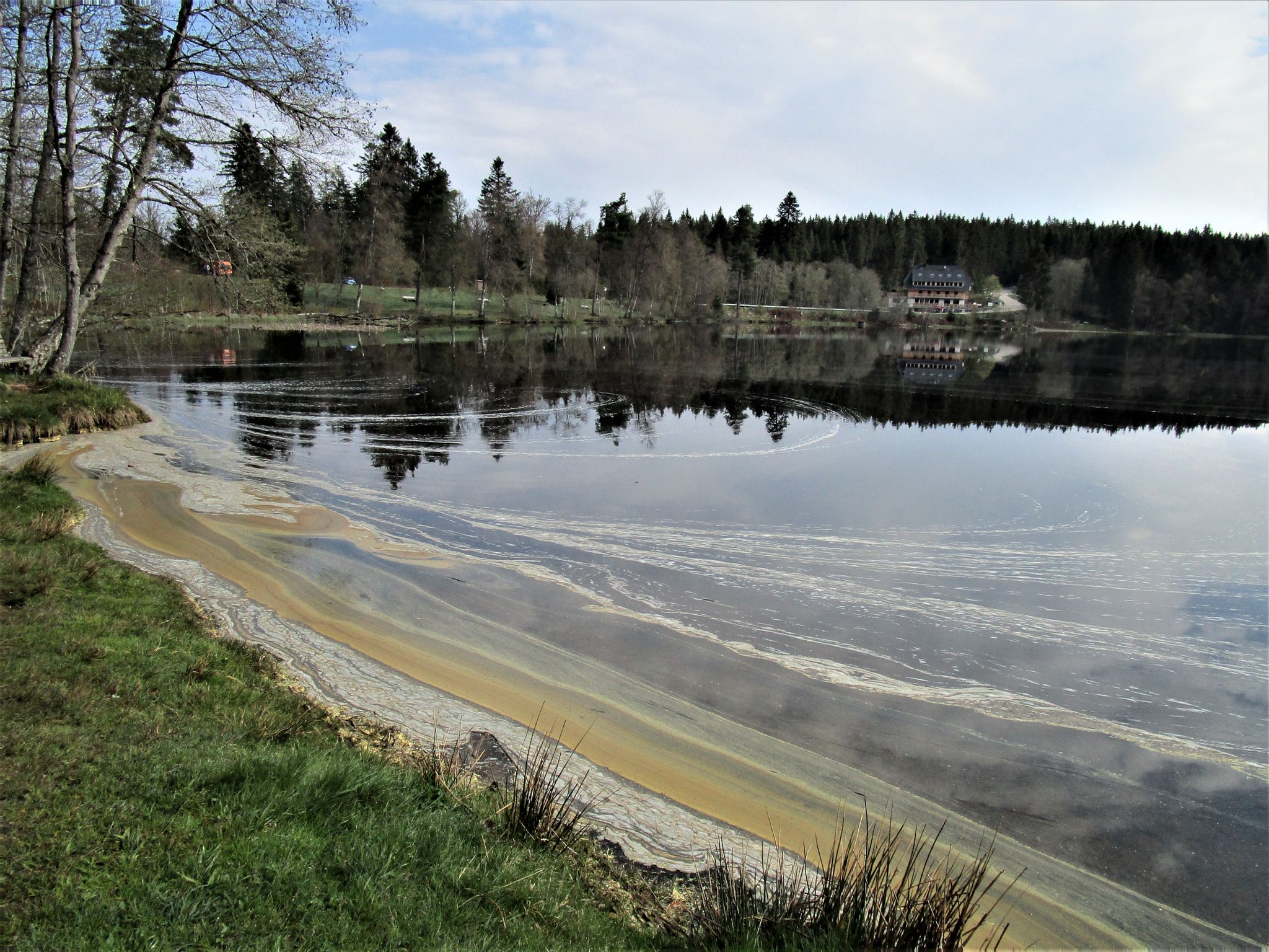 Windgfällweiher