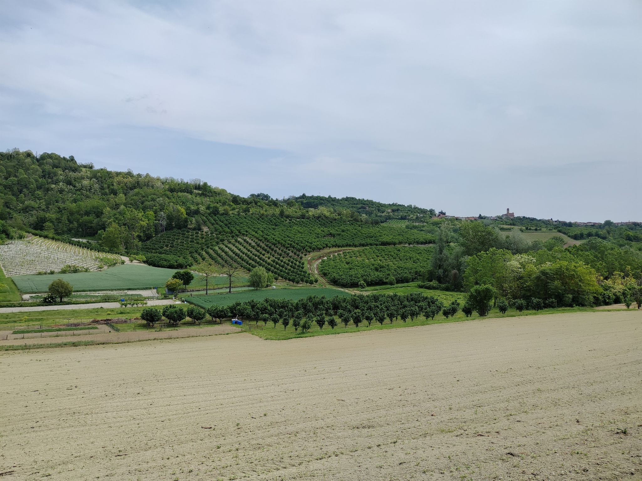 Paesaggio