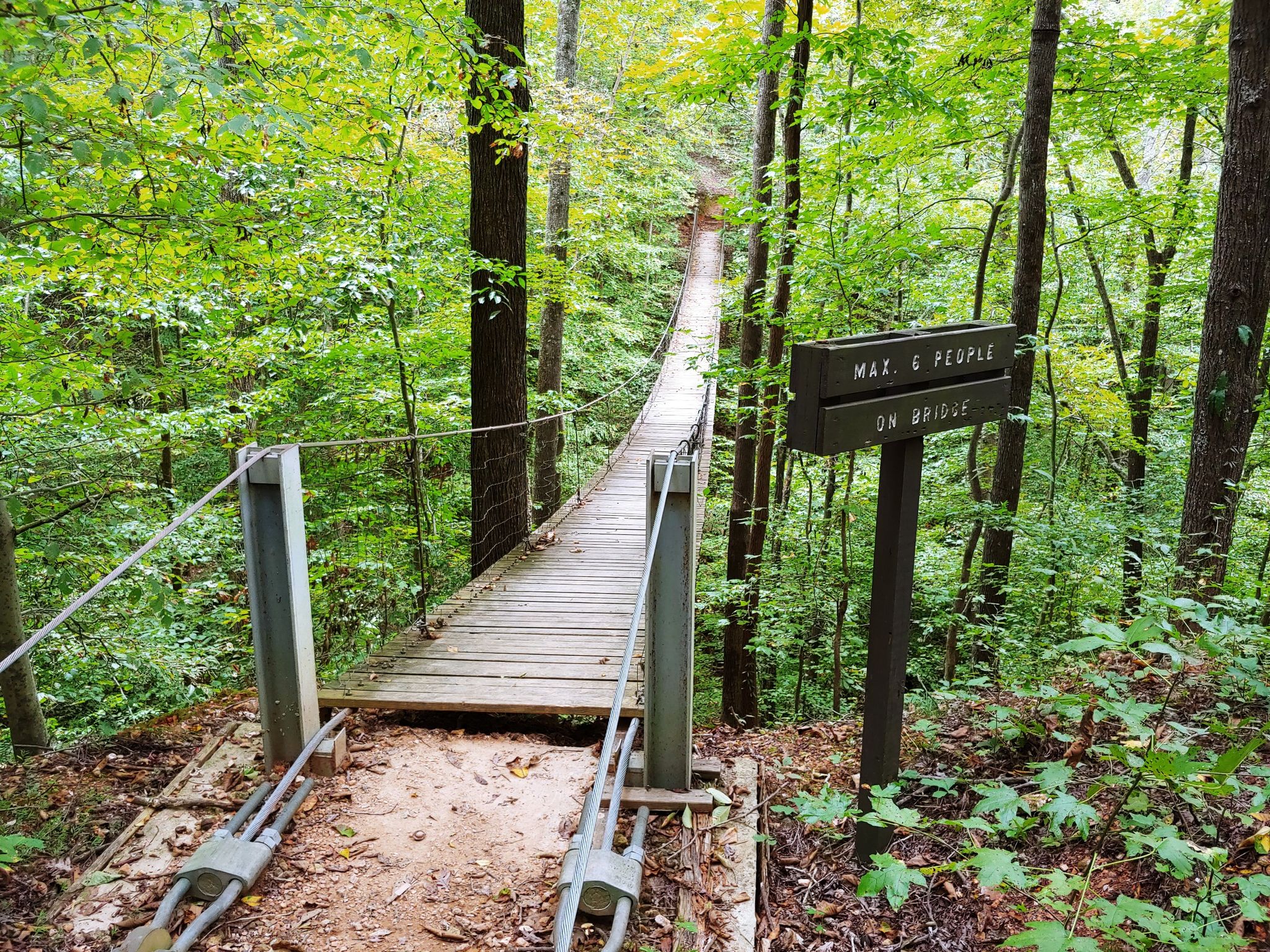 A wooden suspension bridge extends into a dense green forest on a bright day. - Lost Creek Overlook Trail – Tims Ford Lake loop from Tims Ford Nature Center