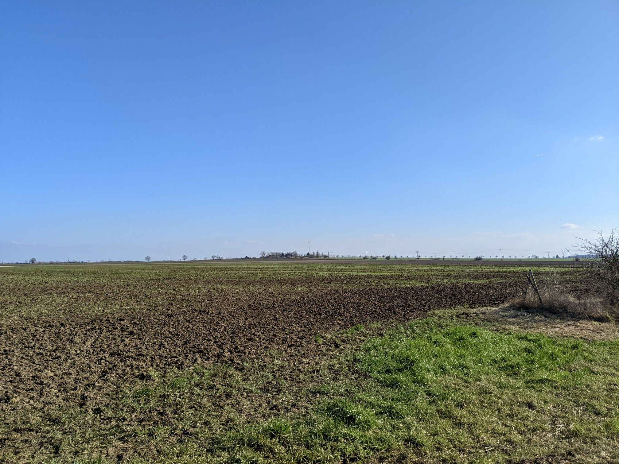 Blick auf die Pilsenhöhe