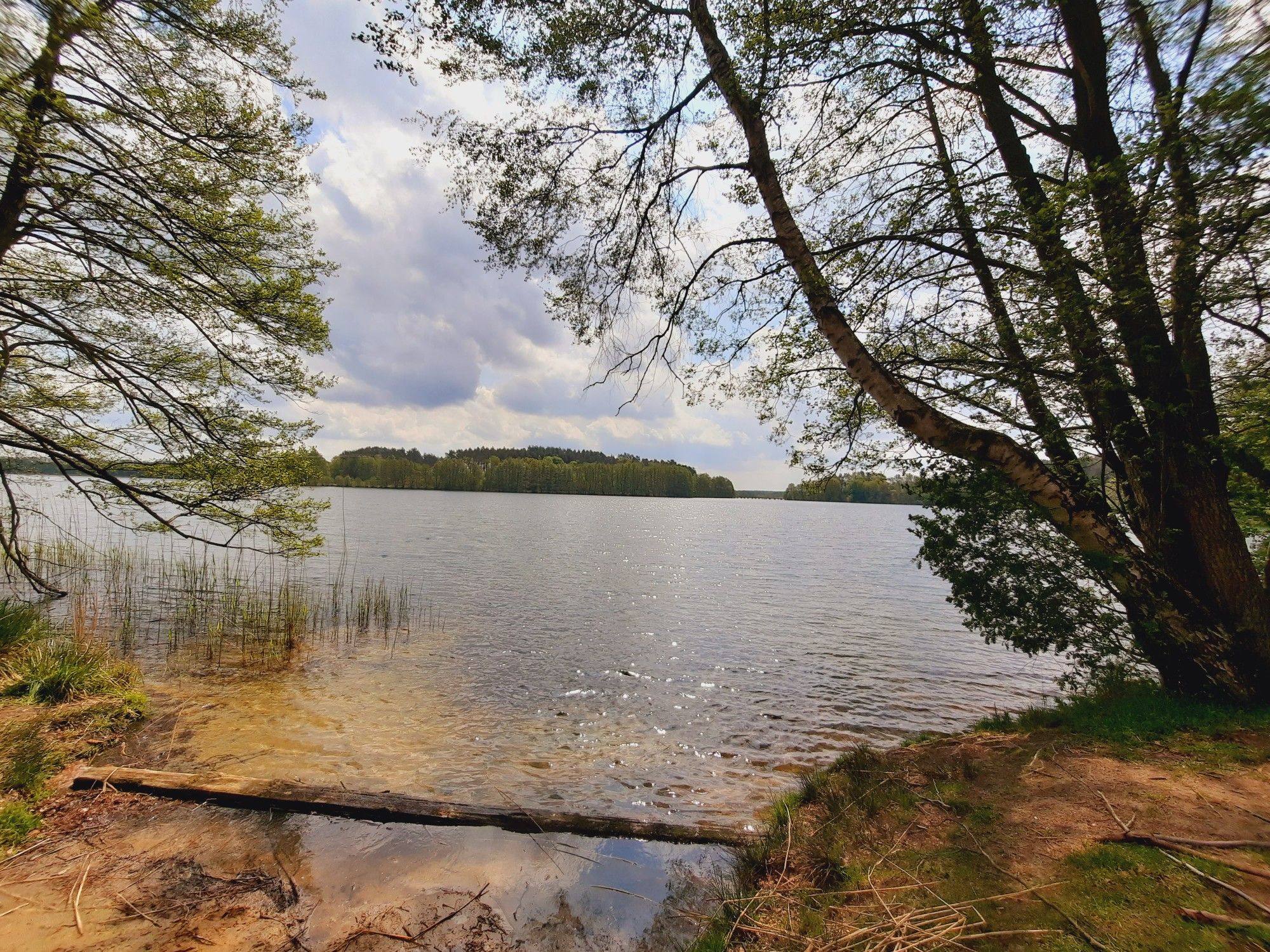 Pagelsee