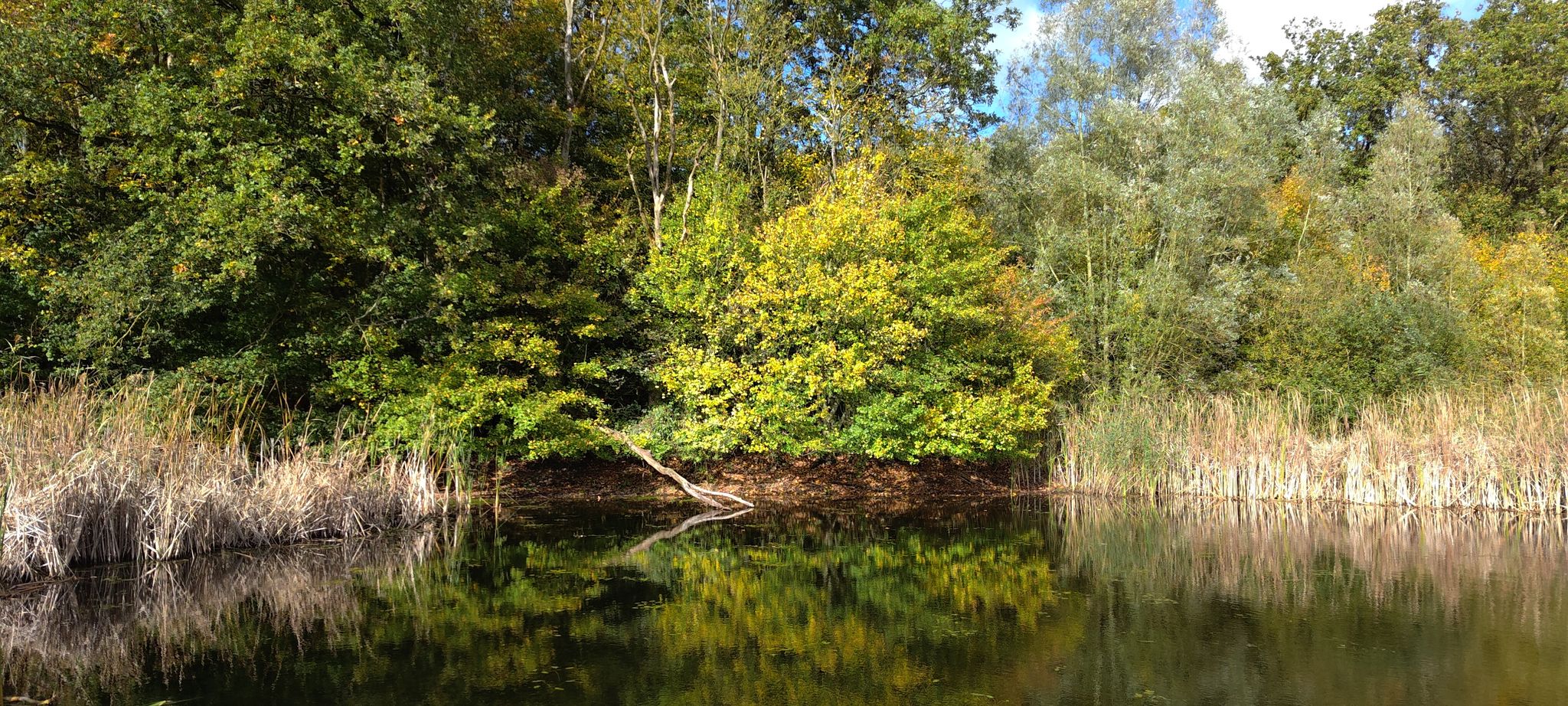 Leemringveld