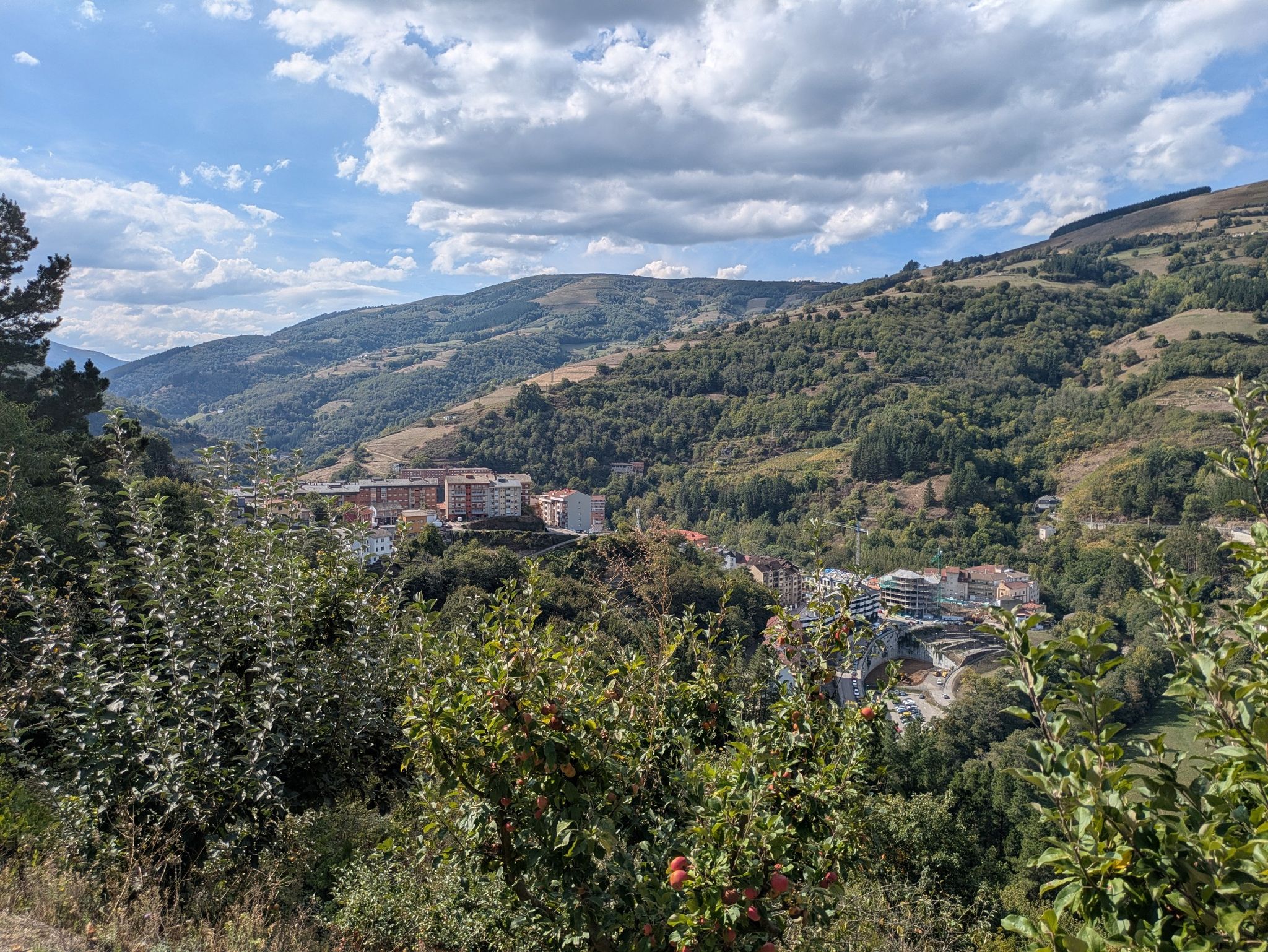 Cangas del Narcea