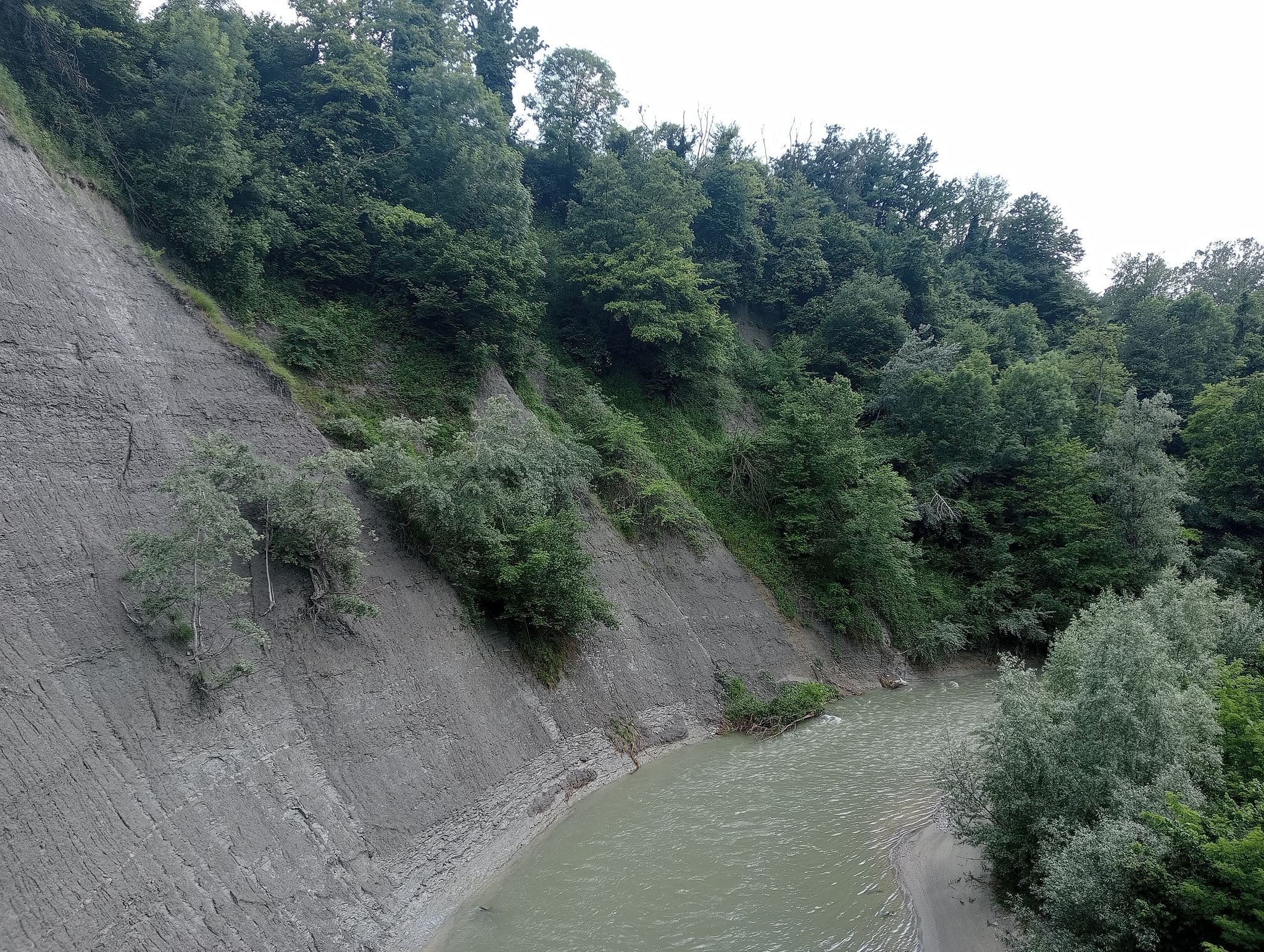 Erosioni fluviali nella Riserva della Benevagienna