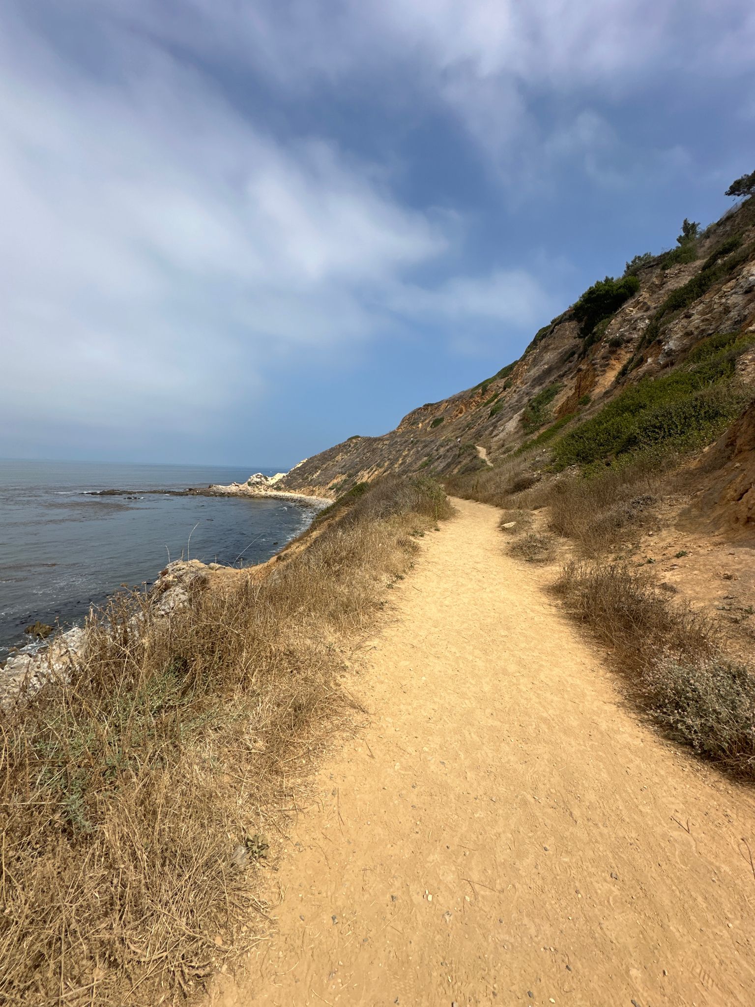 Dirt path along a steep, vegetated cliff overlooking the ocean. - Torrance Beach to Flat Rock Point