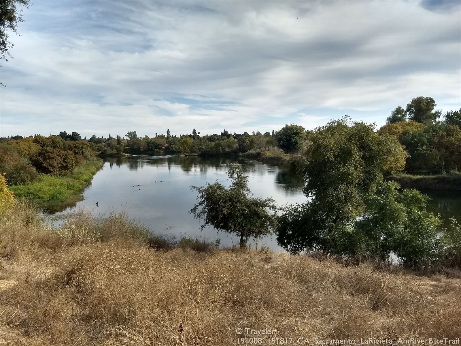 Wide river with green banks, dry grass in foreground, under cloudy sky. - American River Bike Trail