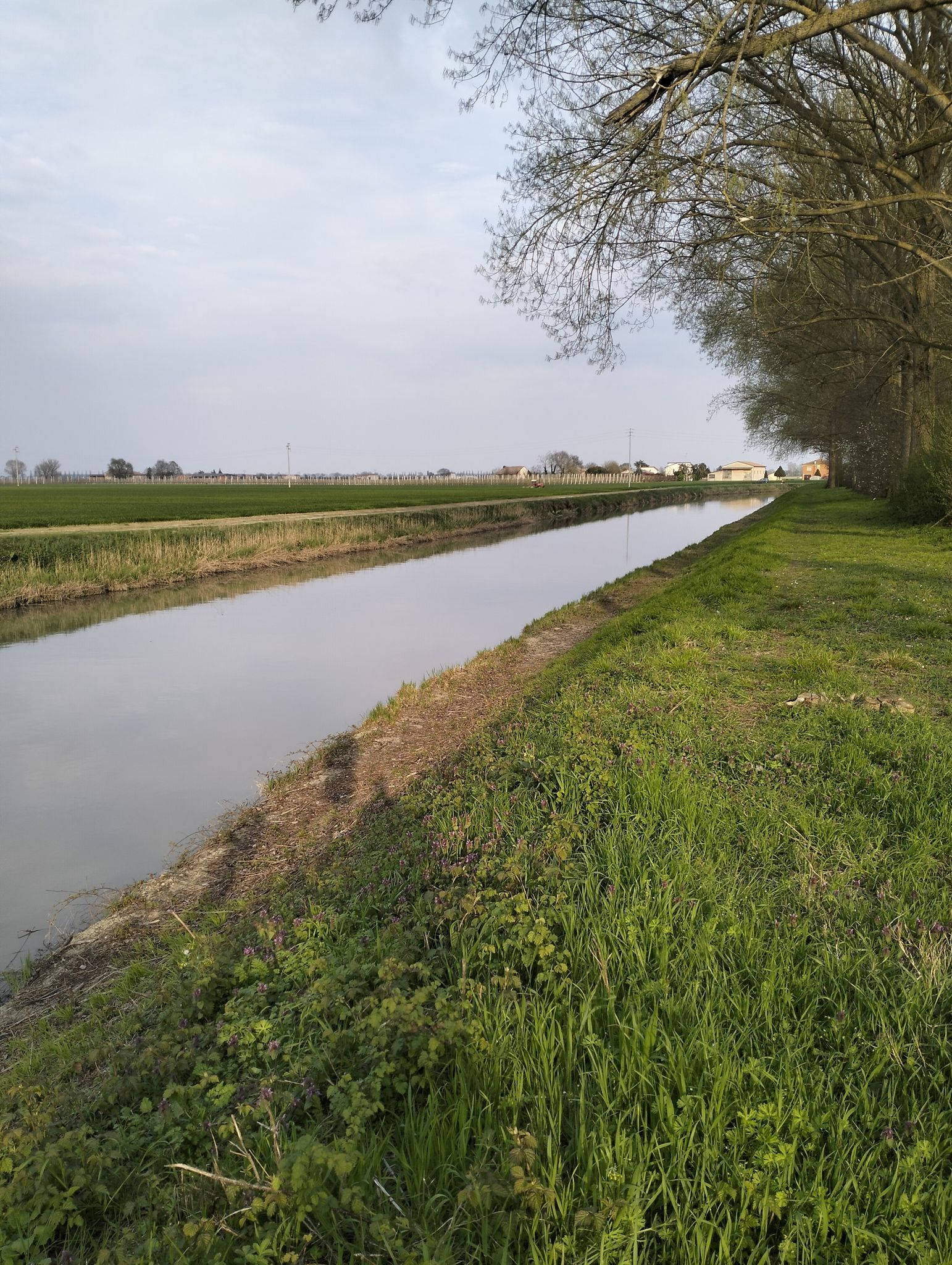 canale diamantina