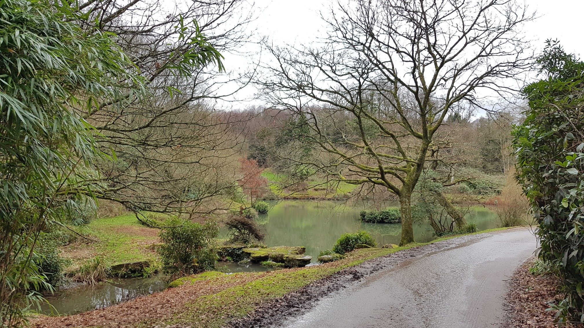 Lake