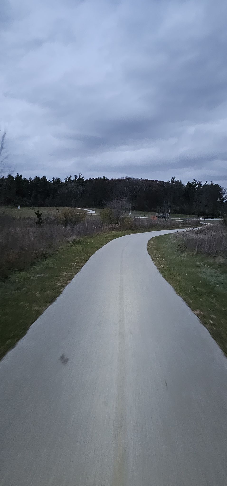 Paved path curving through grassy landscape under a dark, cloudy sky. - Turtlehead Lake – Evergreen View Park loop from Palos Heights