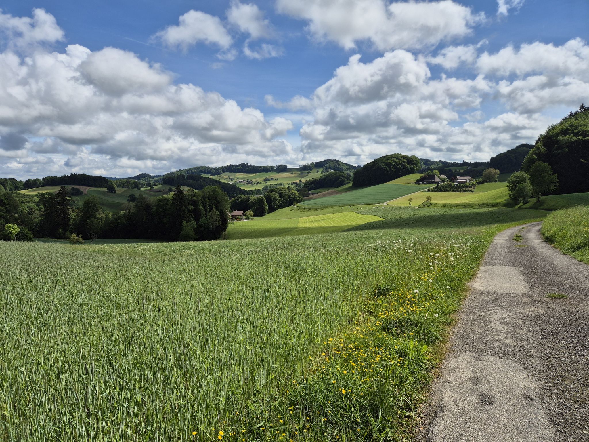 Emmental lässt grüssen