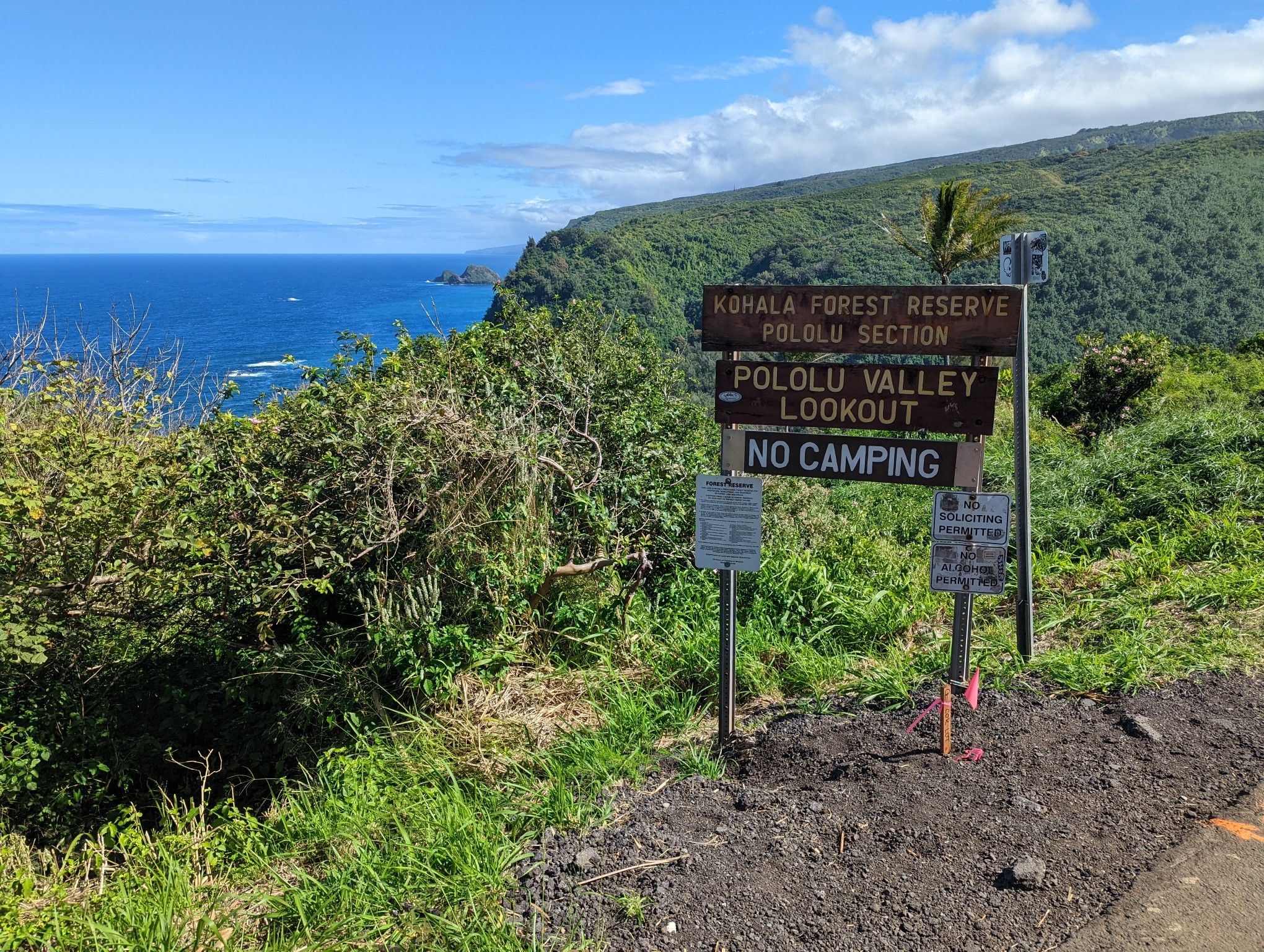 Wooden signpost near a scenic ocean overlook with green hills. - Hāpuna Beach to Pololū Valley Lookout loop