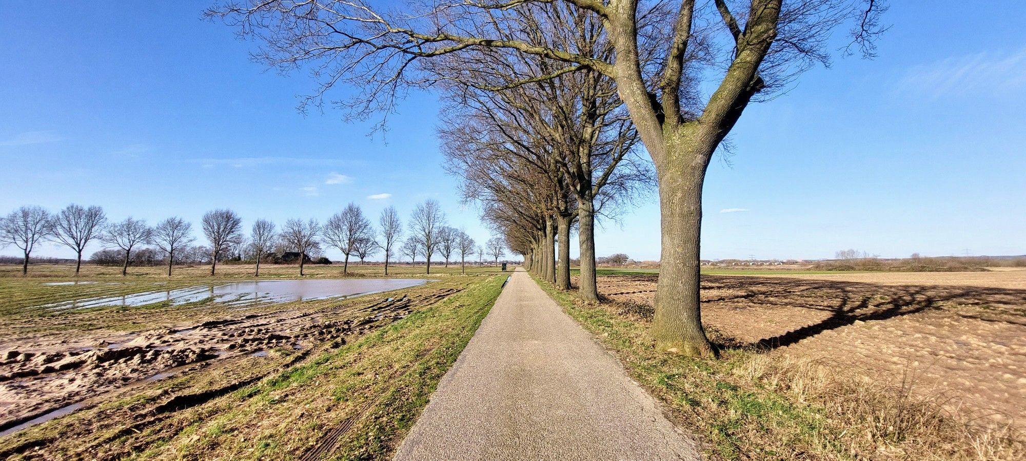 Langs natte landerijen (op sommige plekken heel veel water op akkers en weilanden)