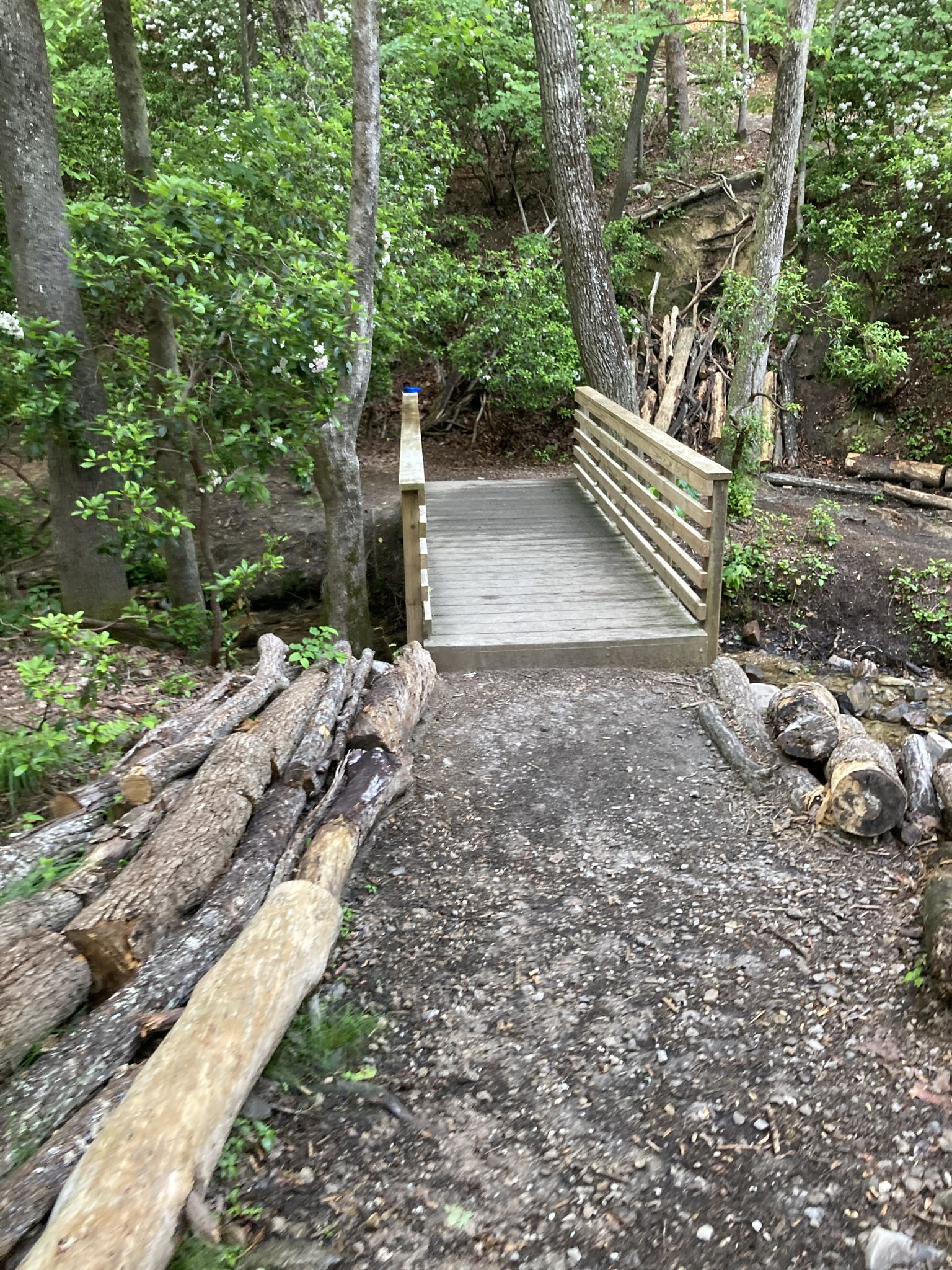 Wooden footbridge over a stream in a shaded forest with stacked logs. - Pine Mountain West Loop