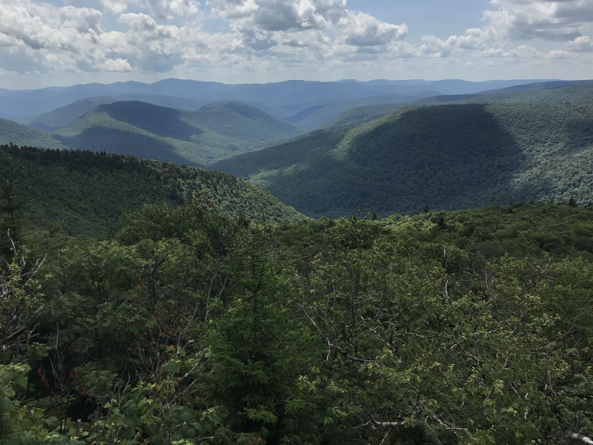 Vast green mountain landscape under a partly cloudy sky, with distant peaks. - Plateau and Sugarloaf Traverse