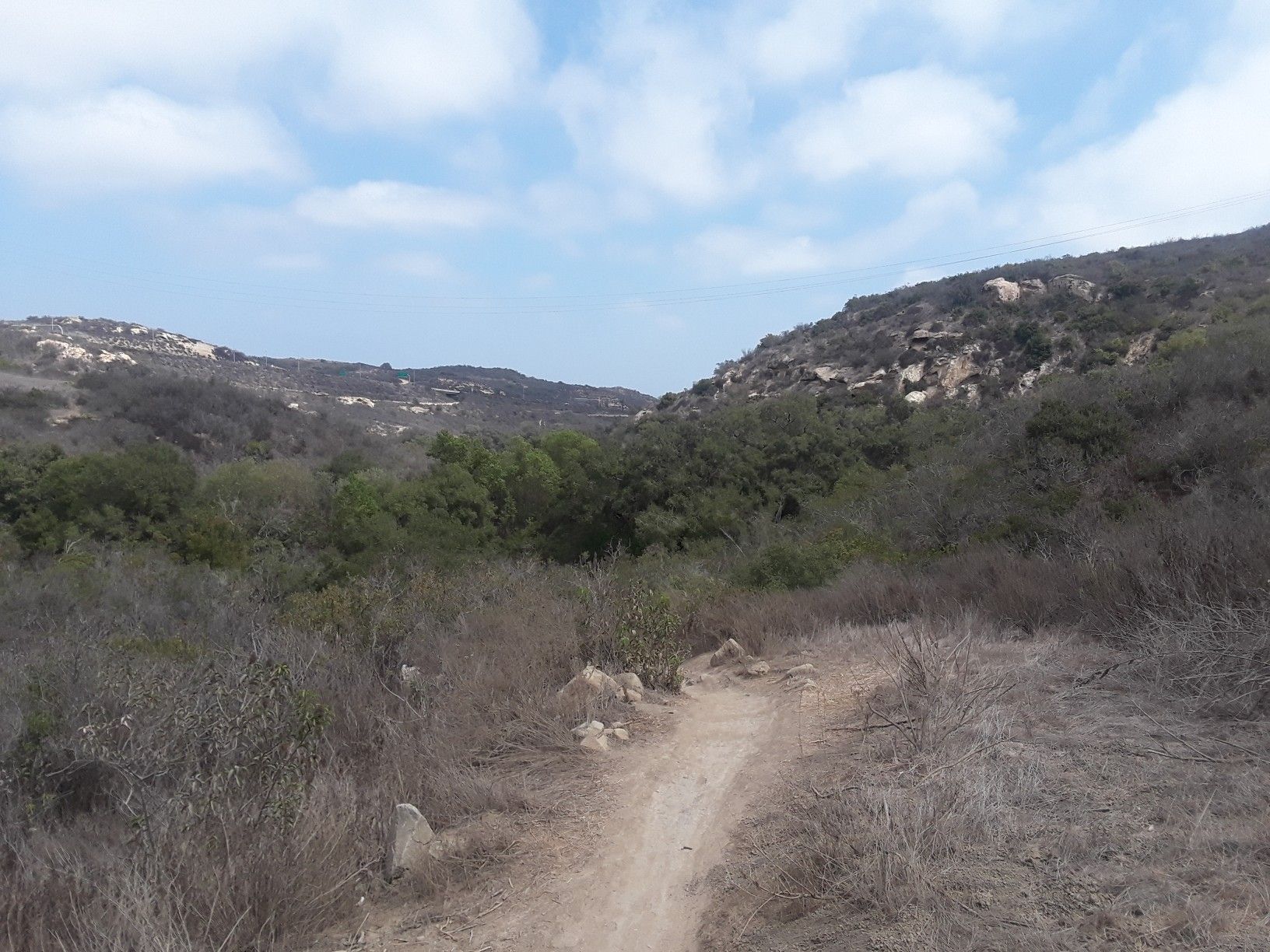 Dirt path through dry brush, leading into a green valley under cloudy sky. - Bommer Ridge, Lizard, and Laurel Canyon Loop