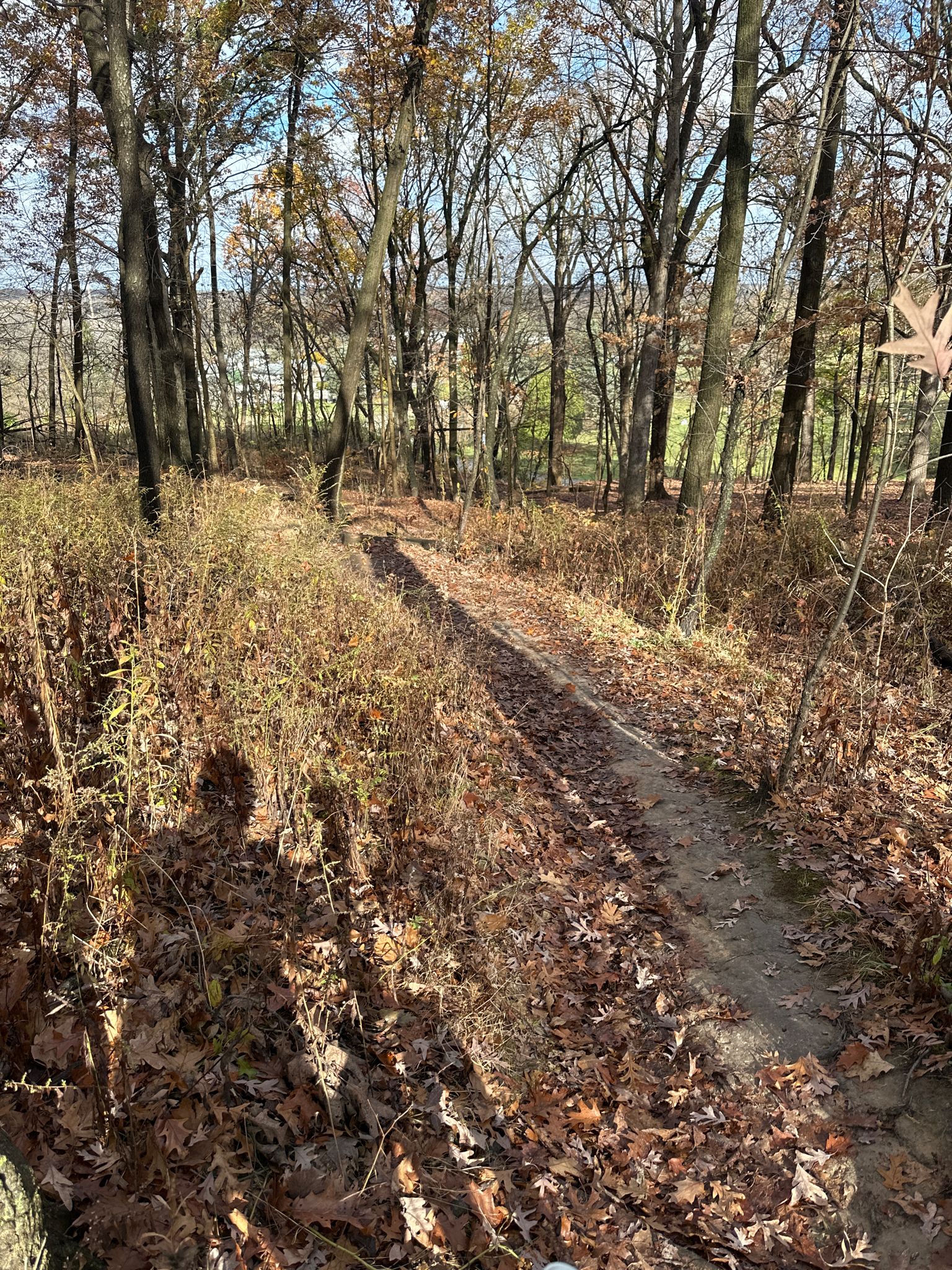 Narrow dirt path through dry grass and trees with long shadows. - Maple Lake – Maple Lake loop from Plot M