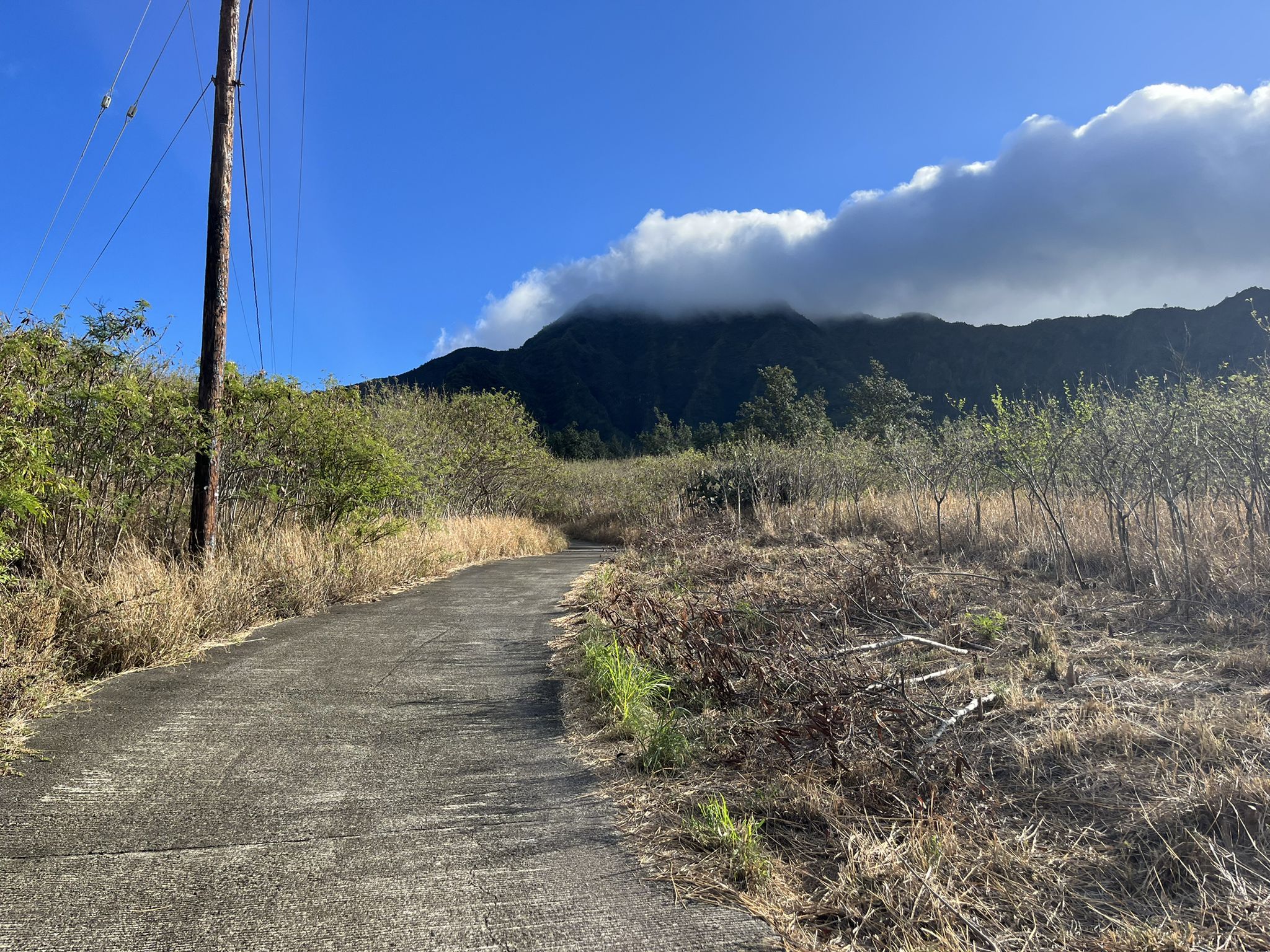 Paved path through dry grass leading towards cloud-covered mountains. - Waianae Valley Road
