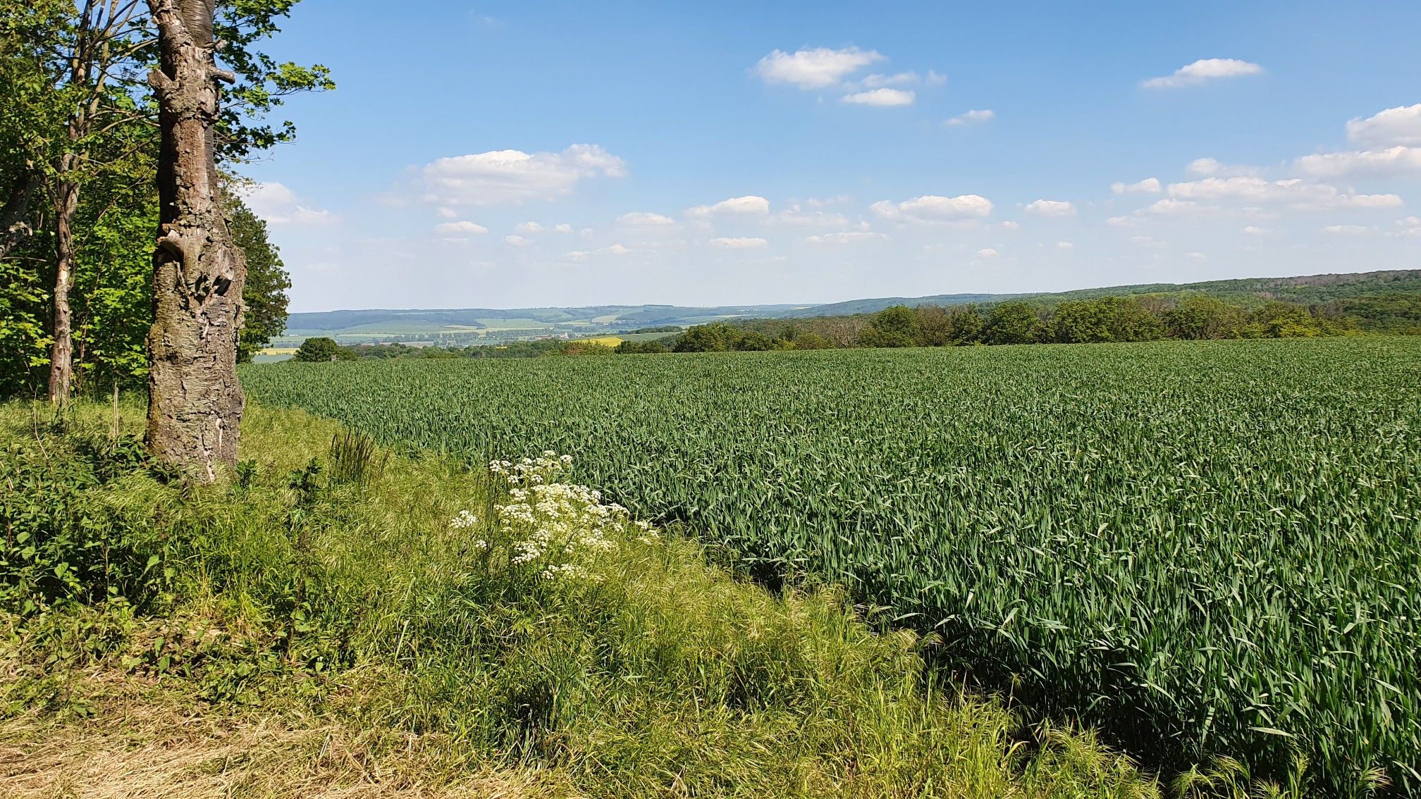 Aussicht2