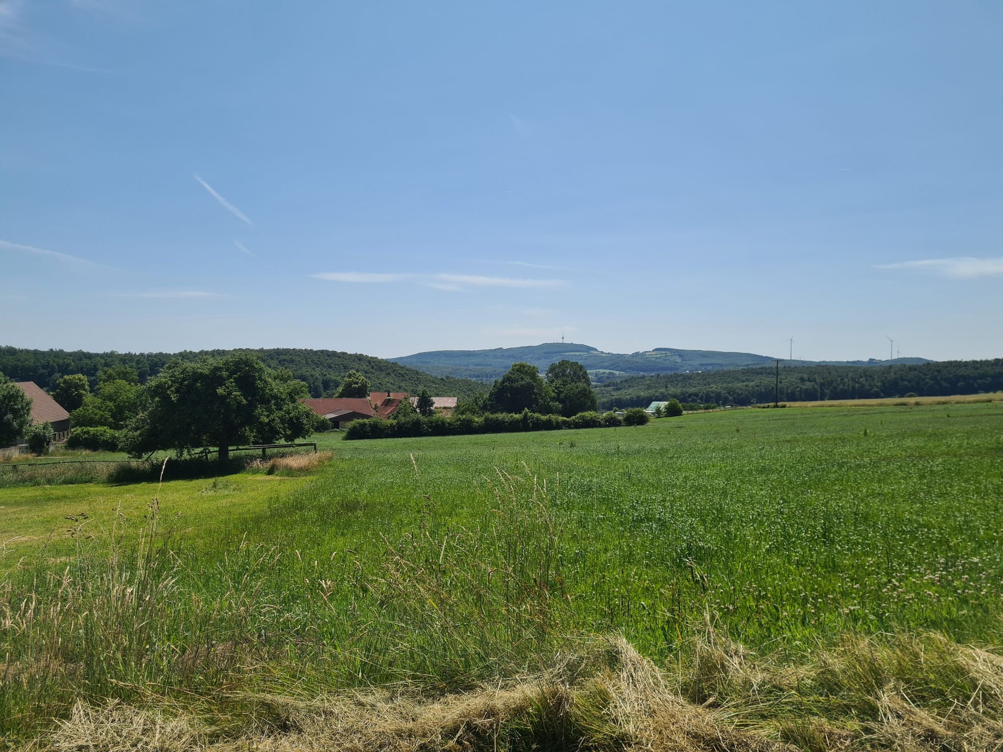 Blick zum Köterberg