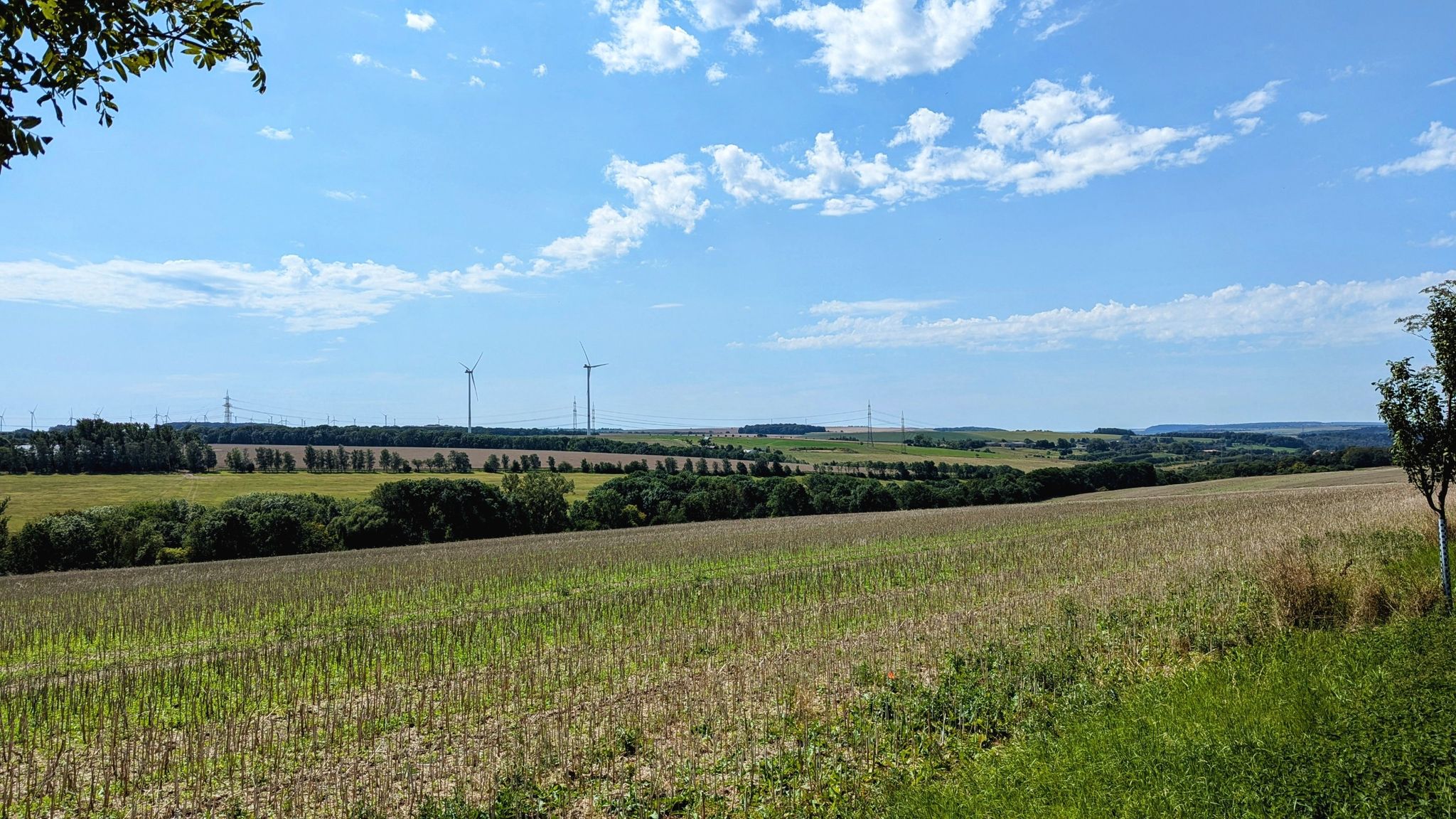 Ein letzter Blick in die Ferne, bevor es hinunter ins Saaletal geht!