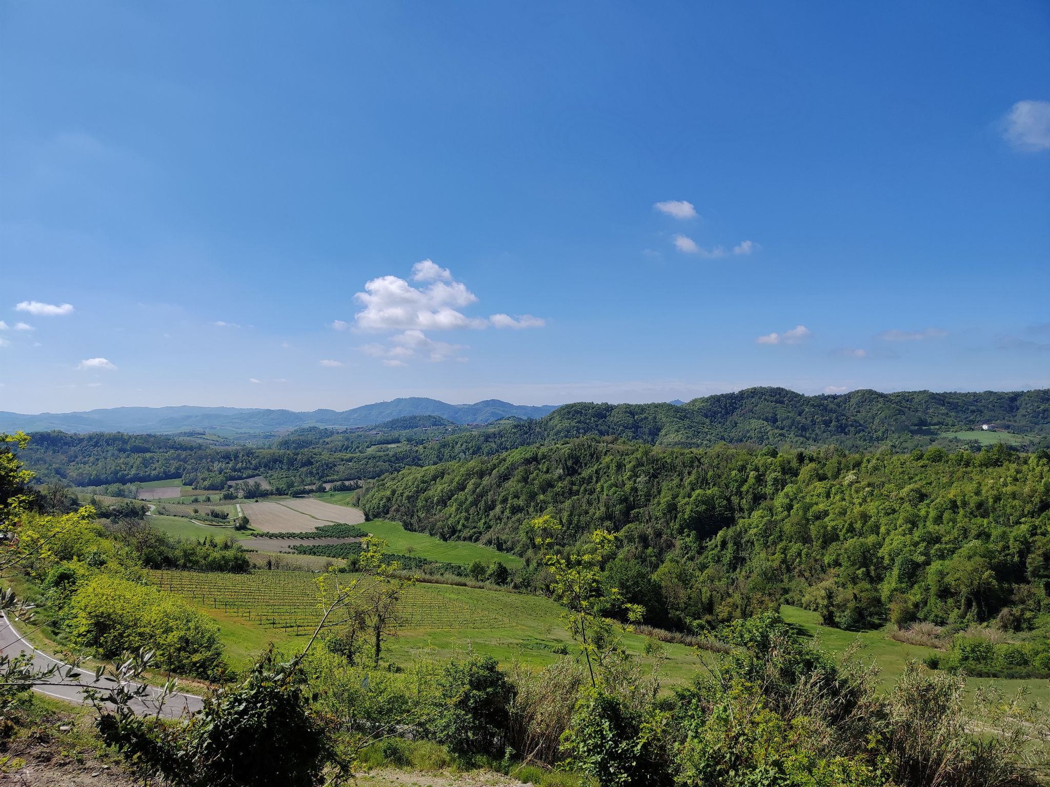 Panorama