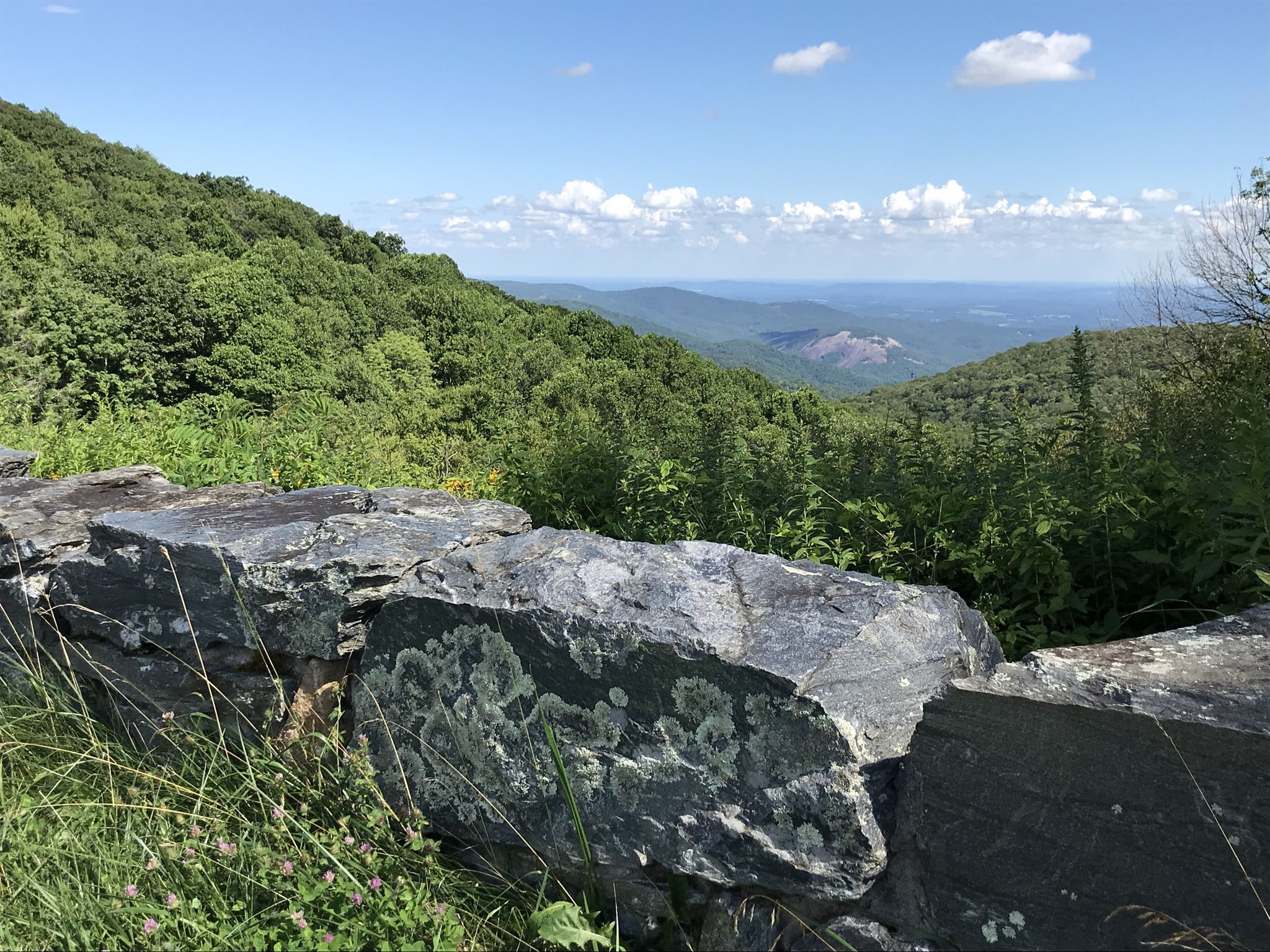 Stone wall in foreground with lichen, overlooking a sunny, forested mountain vista. - North Line Trace