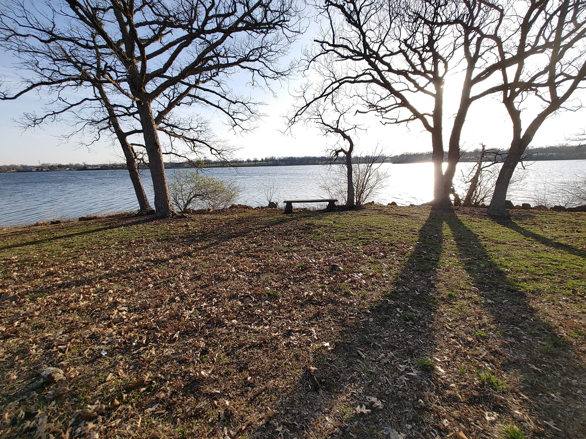 Sunlit lake view with bare trees, a bench, and long shadows. - Lake Shawnee Trail