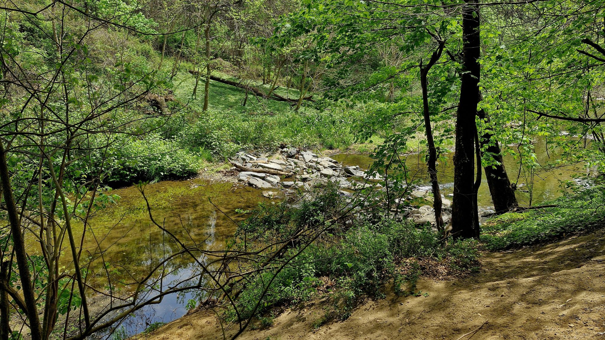 A clear stream with rocky banks flows beside a sunny dirt path. - Druid Lake – Druid Hill Park loop from Mount Vernon