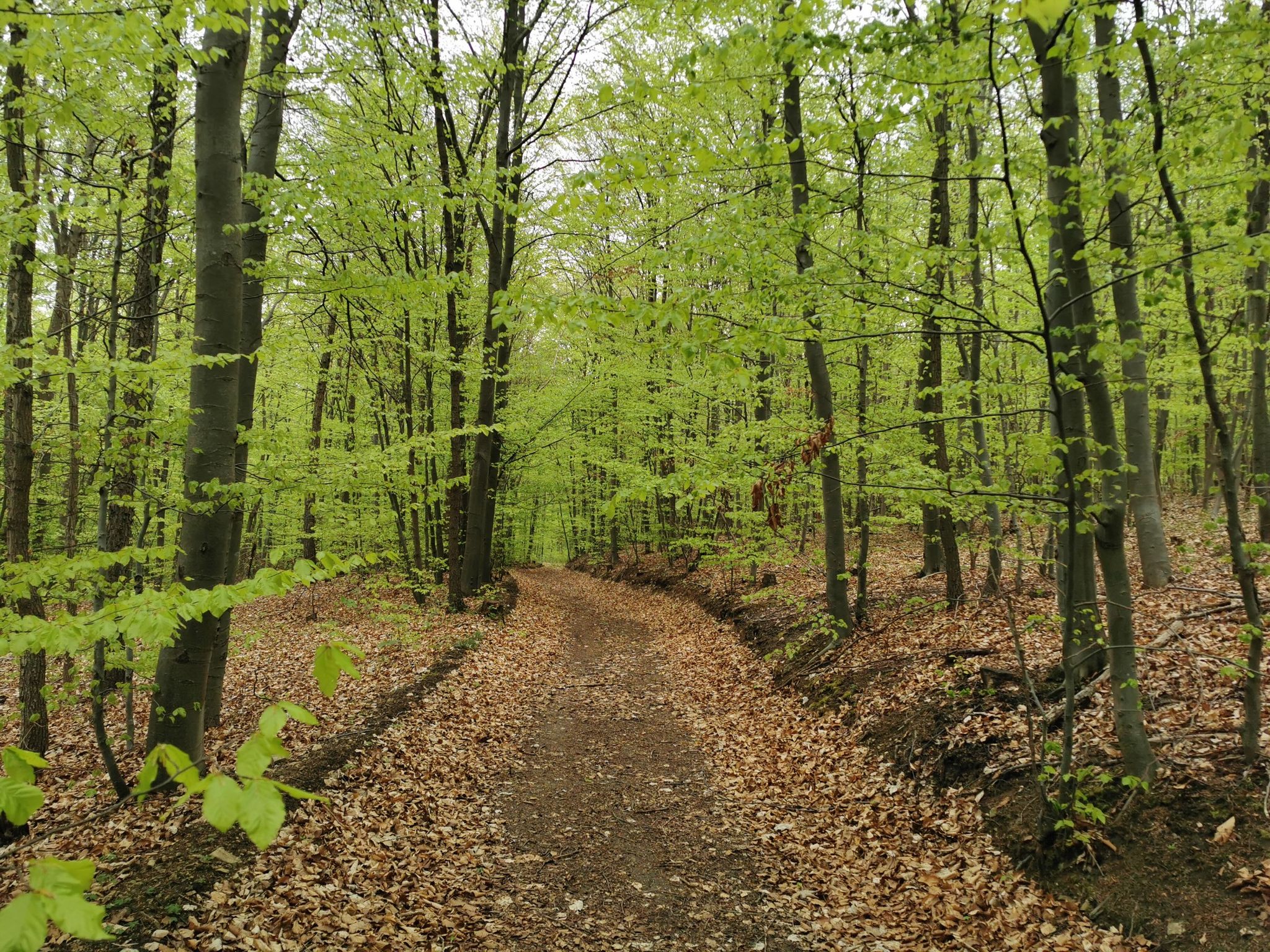 Gravelbikestrecke...