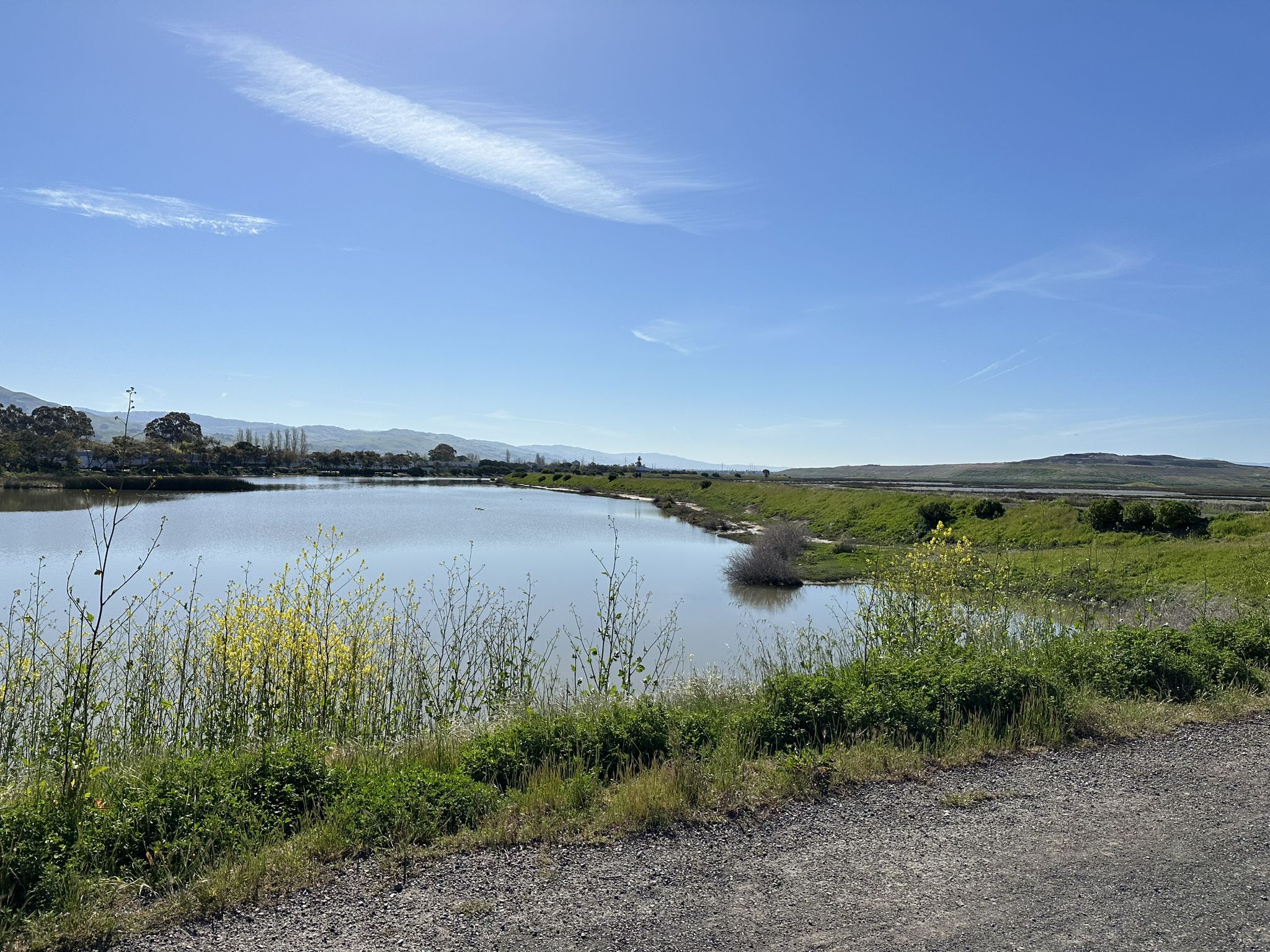 A wide lake with green banks and distant mountains under a sunny sky. - San Francisco Bay Trail: Alviso Slough Loop