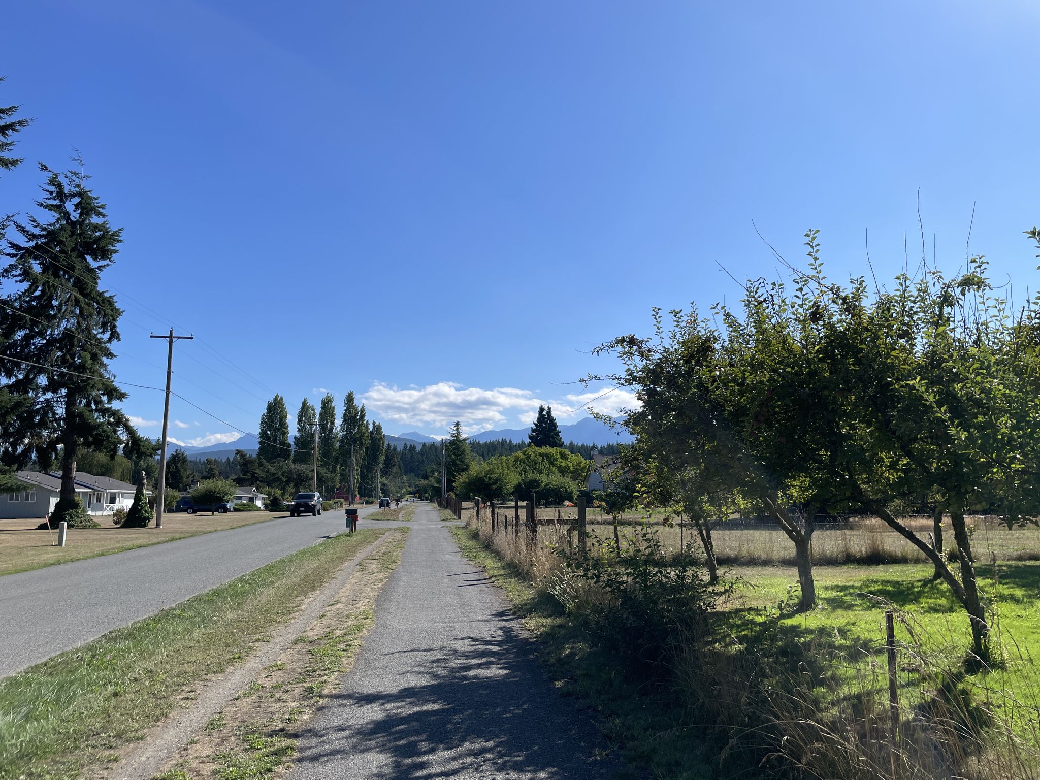A person walks on a gravel path next to a road with distant mountains. - Lavender Farm – Robin Hill Farm County Park loop from Dungeness Wildlife Area