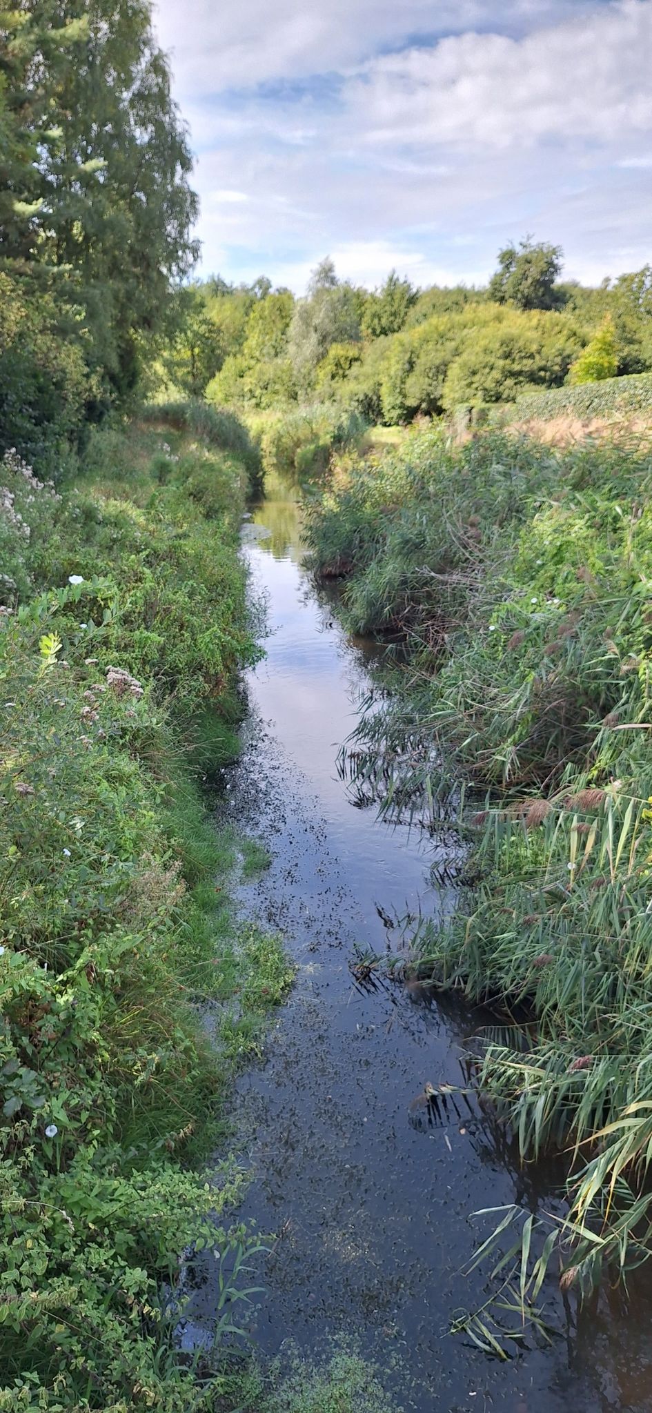 de Grote Beek