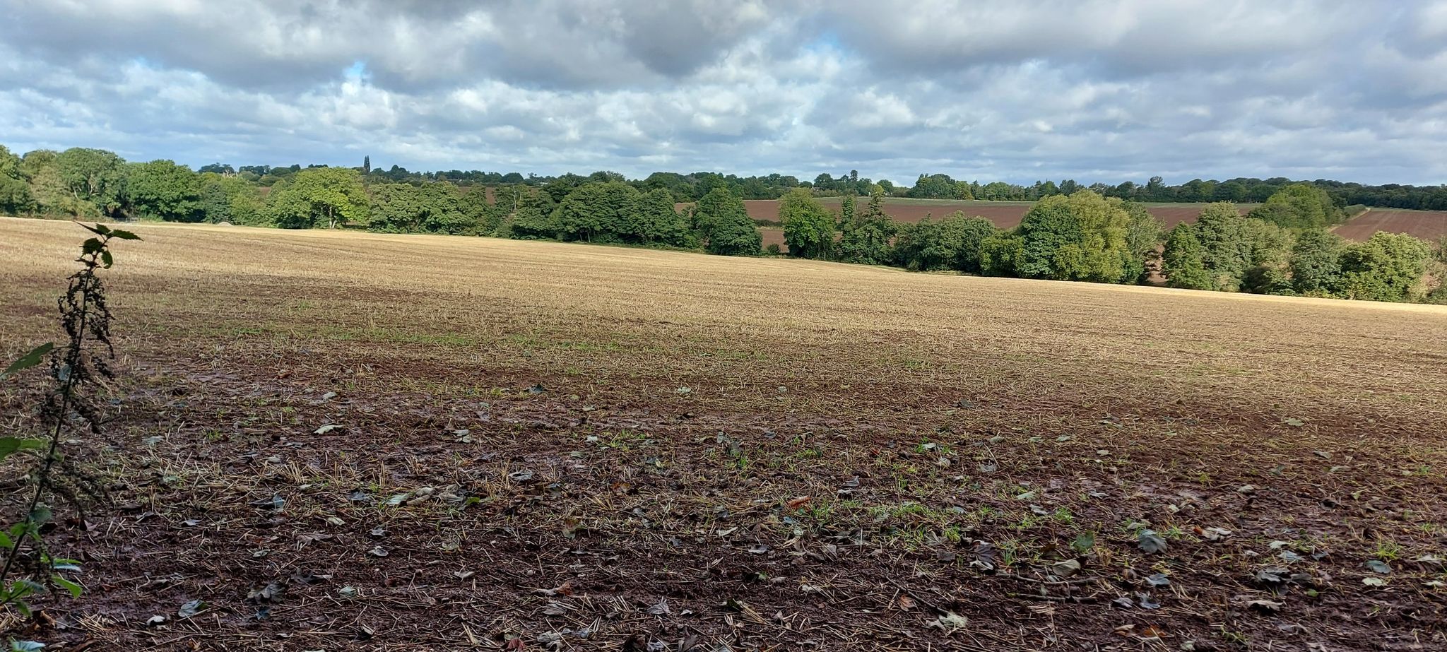 countryside