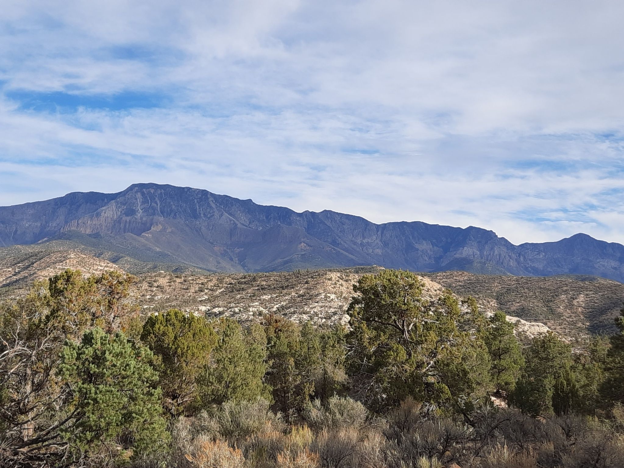 Distant mountain range looms over a green valley under a cloudy sky. - Yant Flats to Candy Cliffs and Yellow Top
