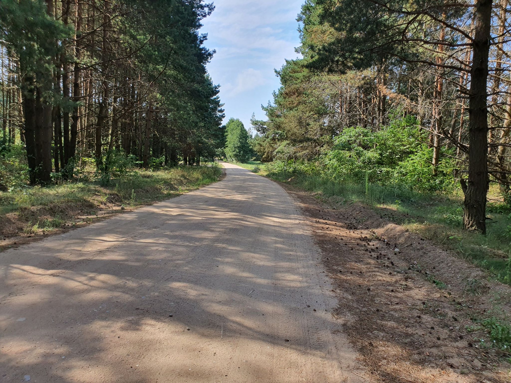 droga wzdłuż granicy
