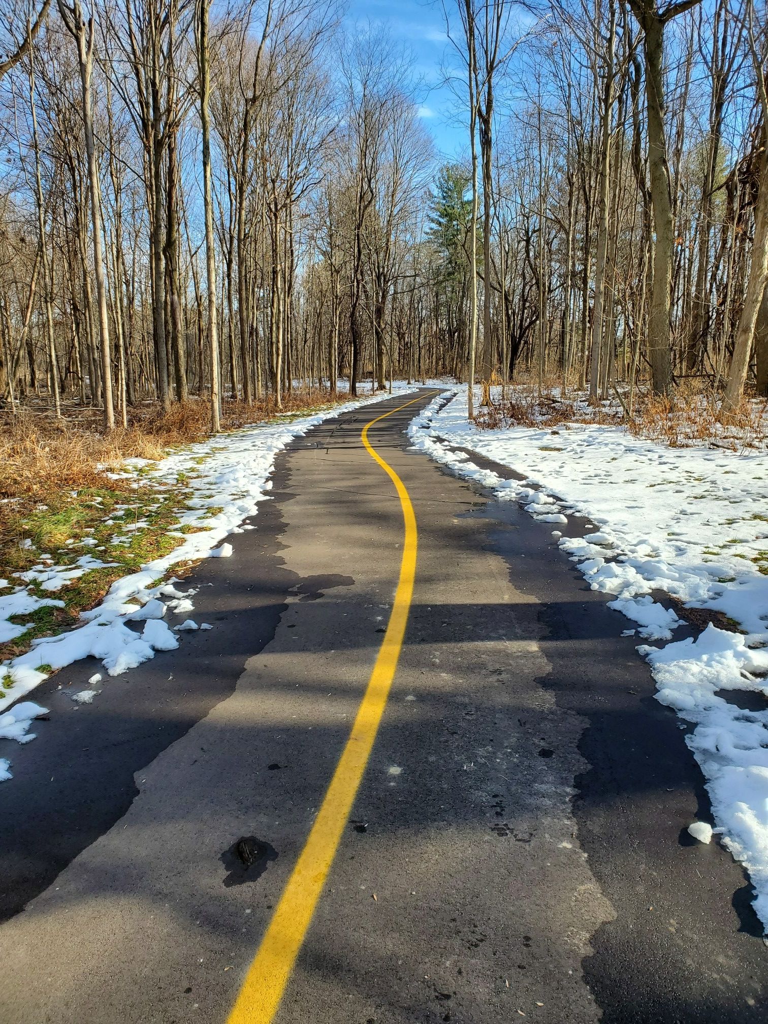Paved path with yellow line winding through bare winter woods, snow on sides. - Lilly Reflecting Pond – Forest Lake loop from Picnic Site 10