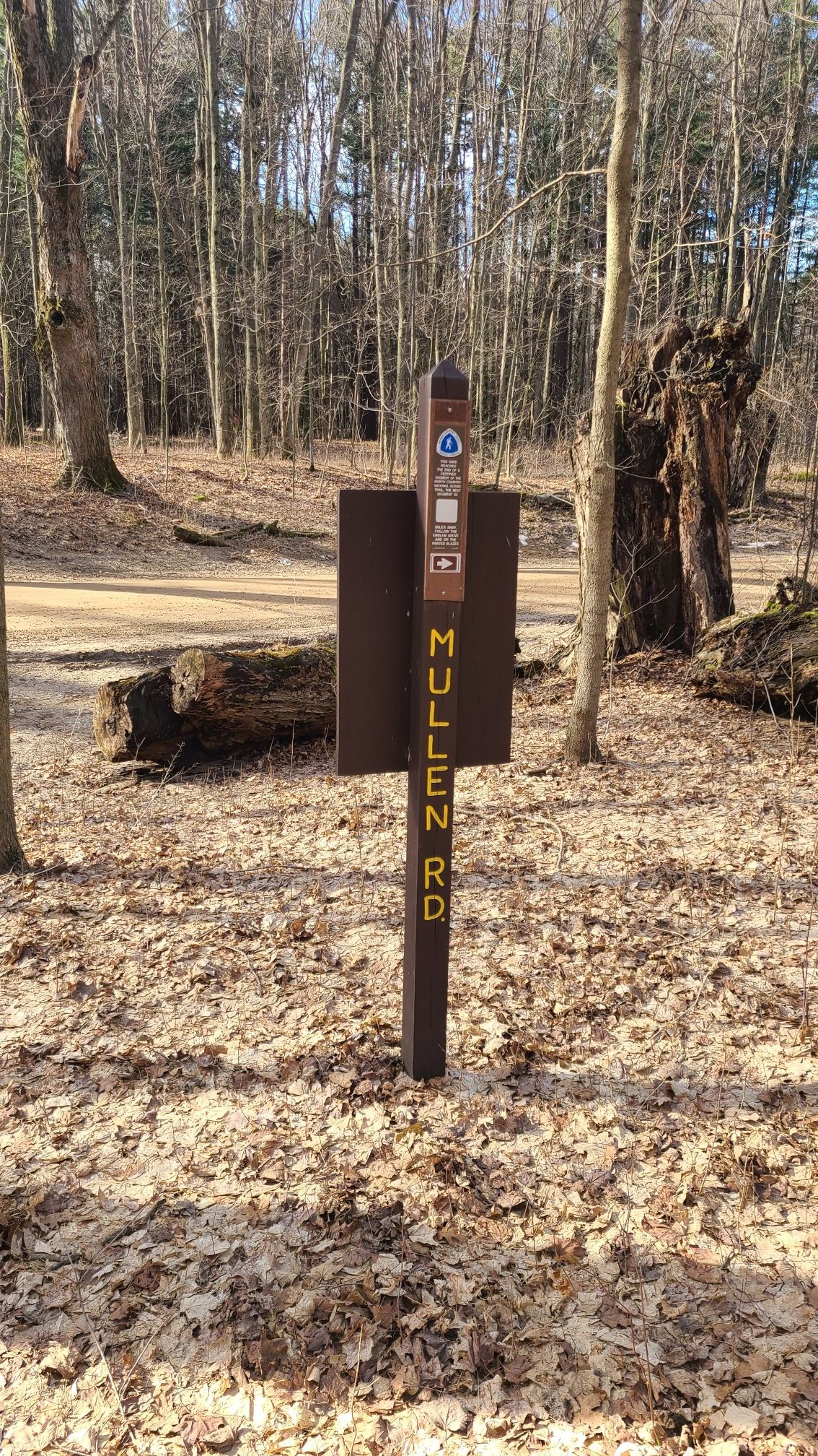 Wooden trail marker post stands on a leaf-covered forest floor. - North Country Trail: Yankee Springs Section
