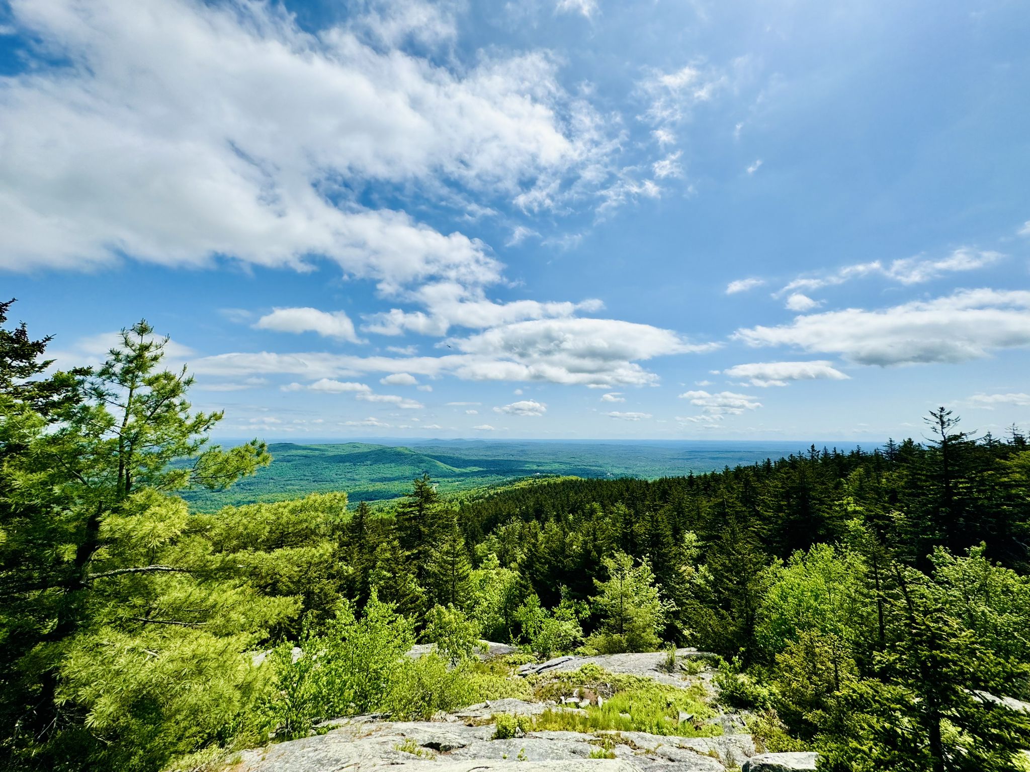 Mountain vista with green trees and distant hills under a partly cloudy sky. - North Pack Monadnock Mountain loop from Lincoln-Davis Memorial Forest