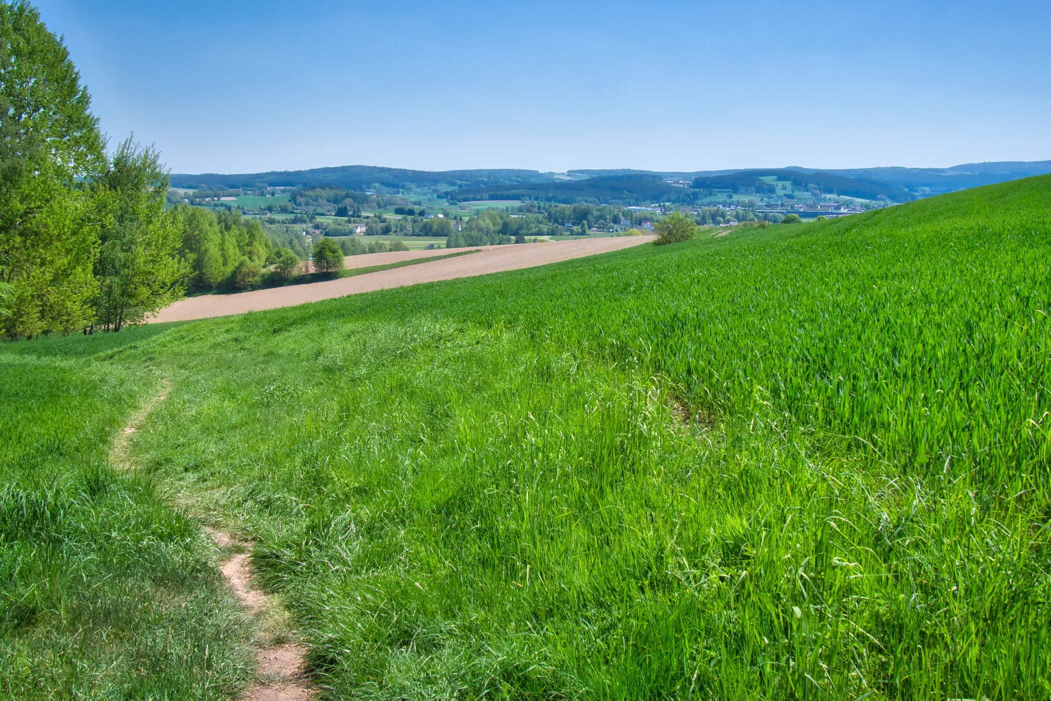Waldershof in Sicht