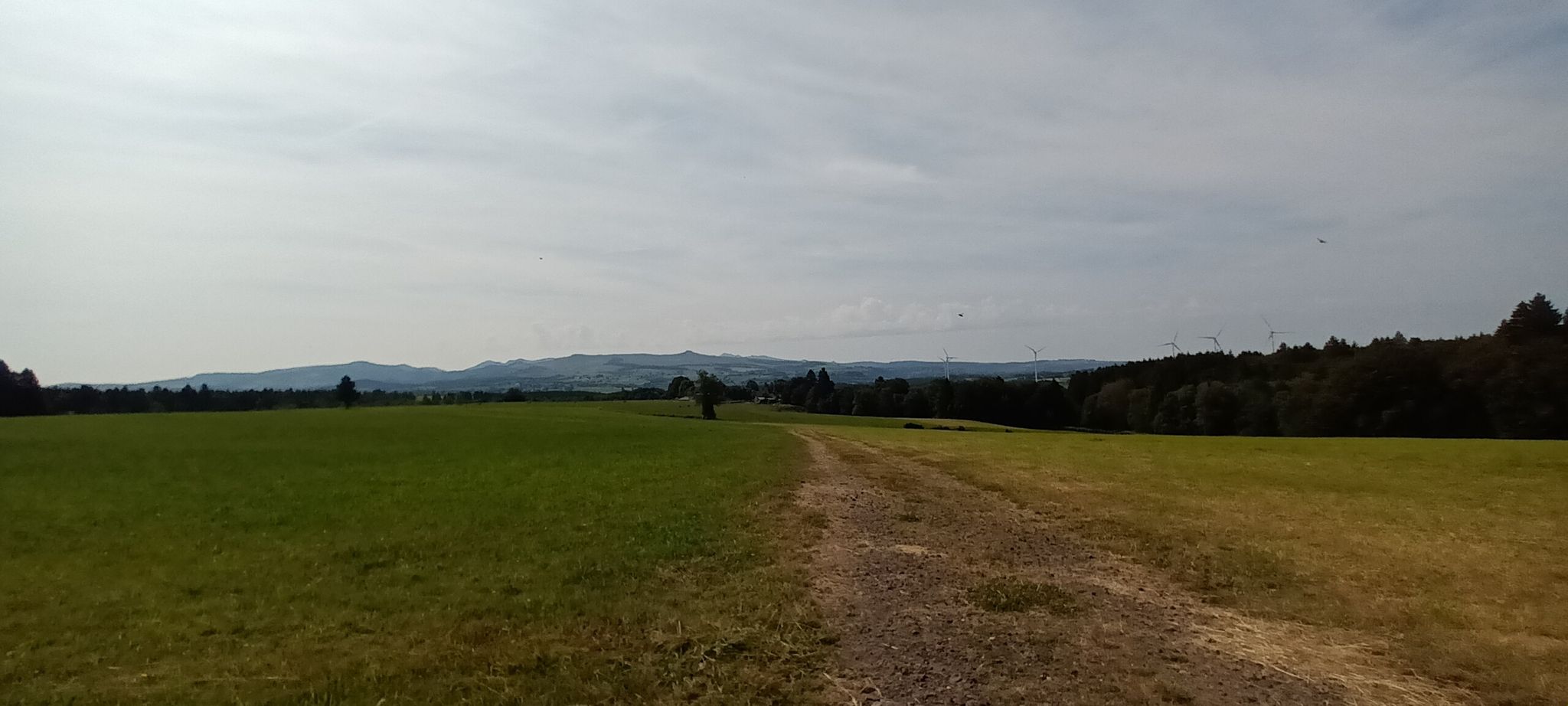 Puy de Sancy