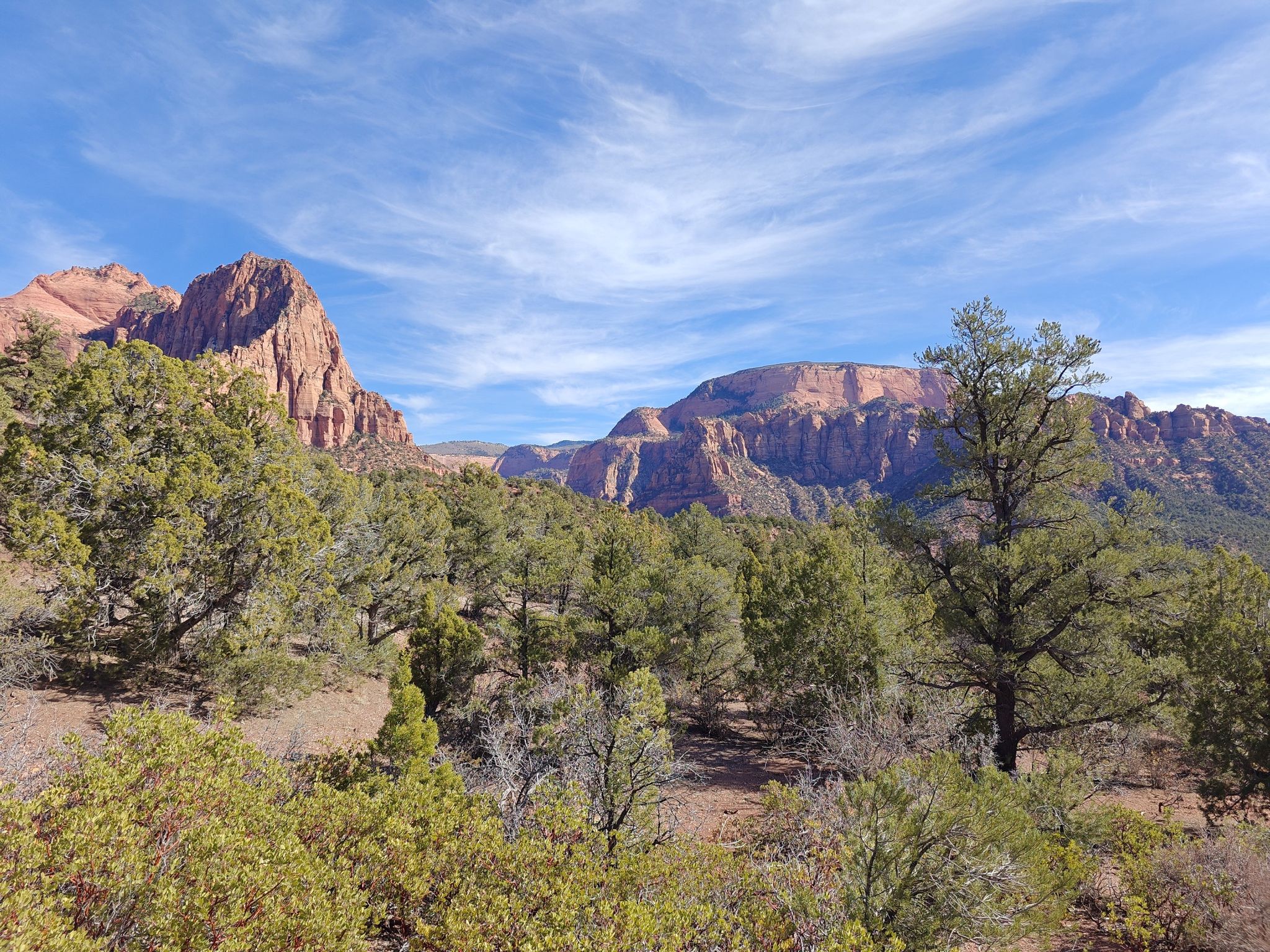 Sunny landscape with green trees and distant red rock mountains under a blue sky. - Lee Pass to Wildcat Canyon